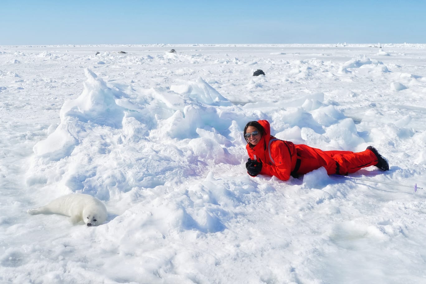 Photo de moi sur la banquise canadienne, à côté d'un bébé phoque, dans un paysage gelé