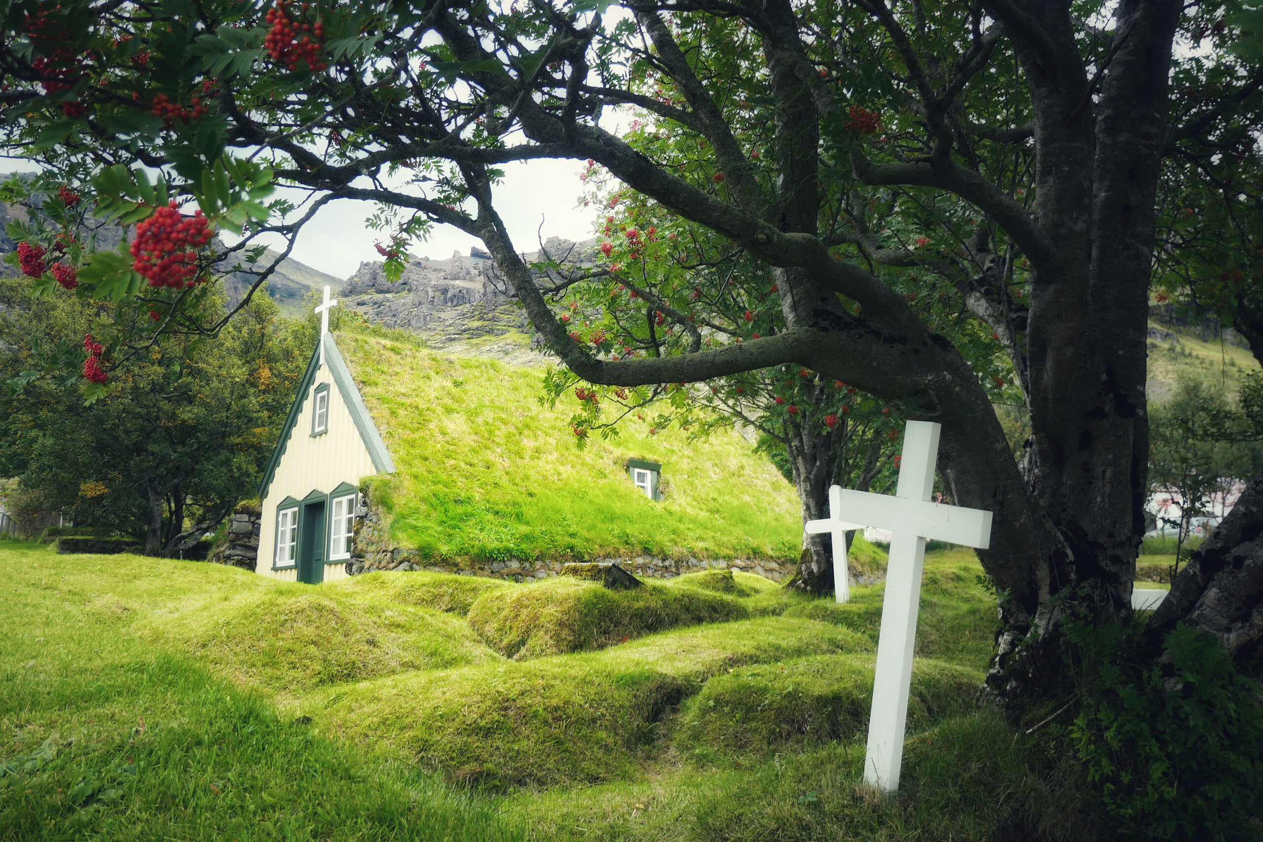 Petite chapelle islandaise avec un toit végétalisé vert, harmonieusement intégrée dans le paysage naturel.