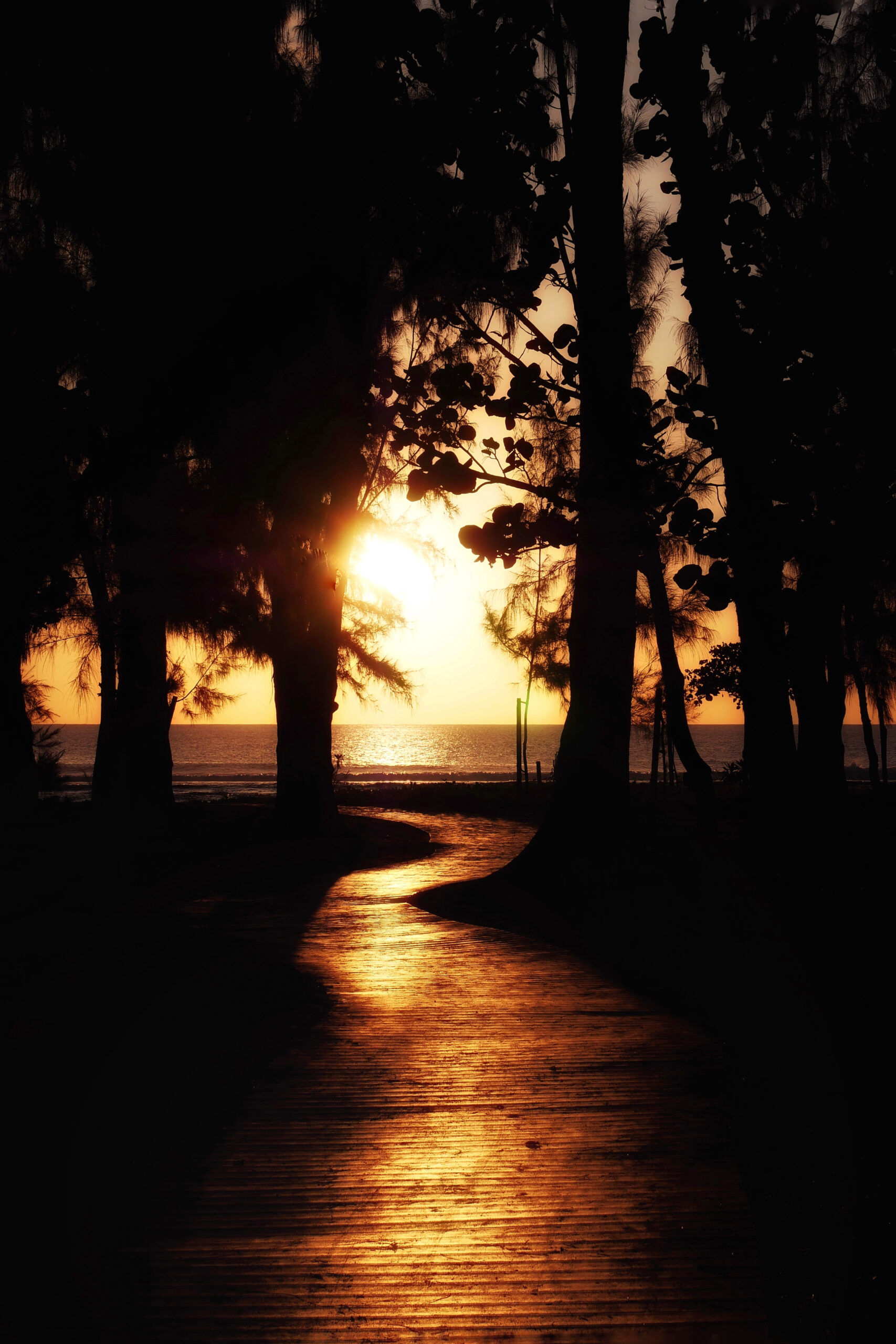 Coucher de soleil sur une passerelle en bois menant à la mer sur l'île de La Réunion