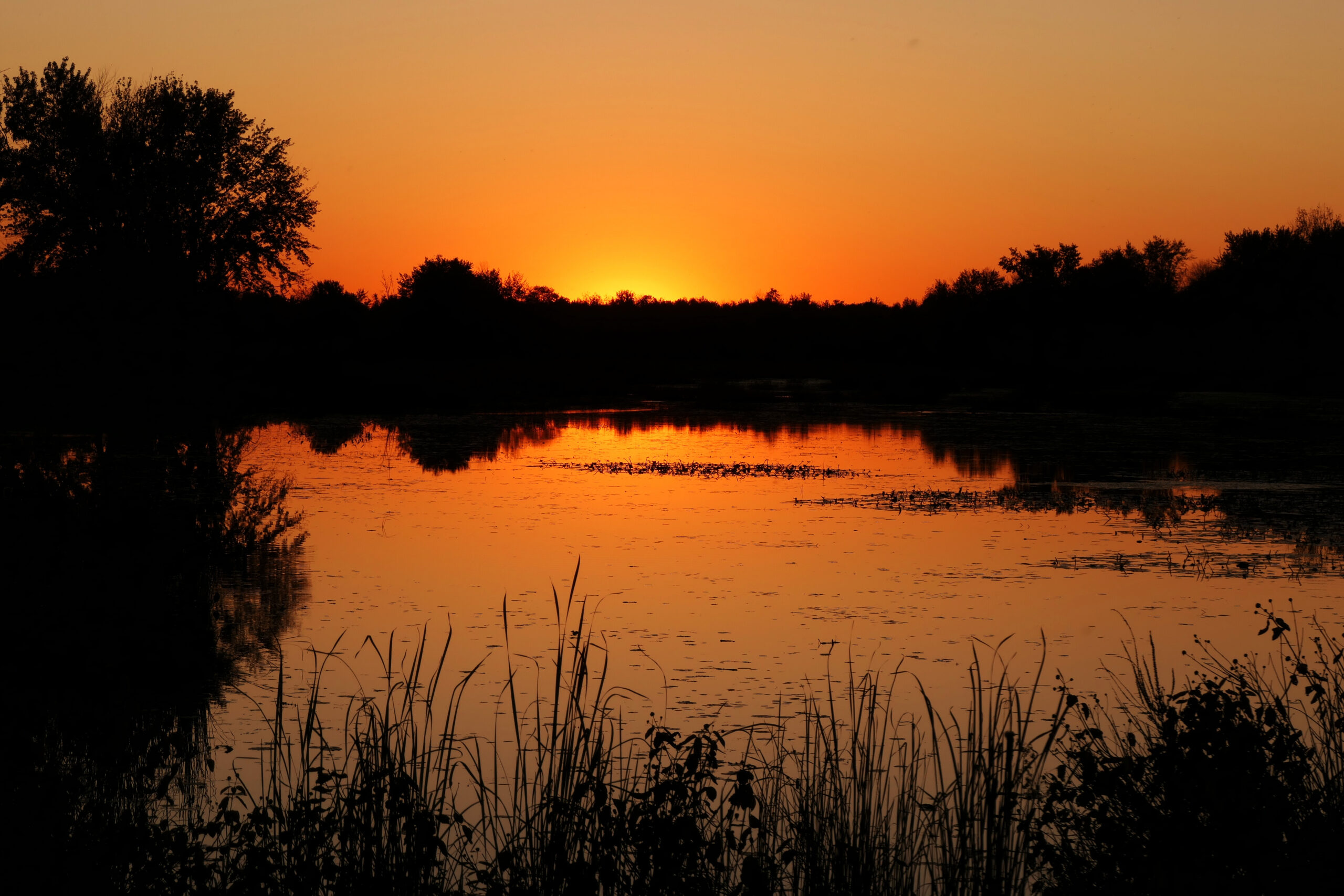 Coucher de soleil orangé sur un marais du parc de Plaisance, Québec