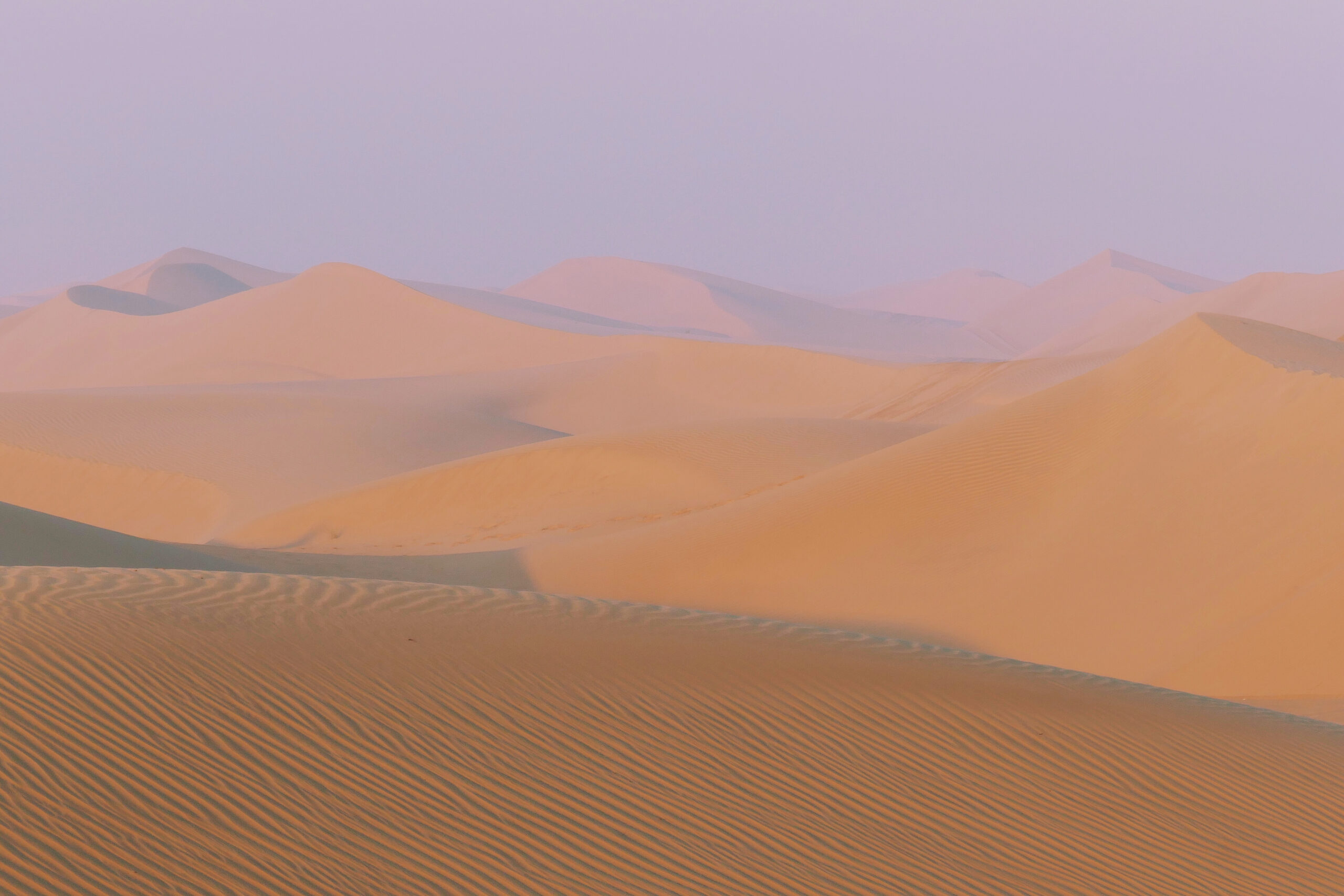 Dunes du désert de Liwa aux Émirats Arabes Unis, baignées dans les couleurs pastel du lever du soleil.