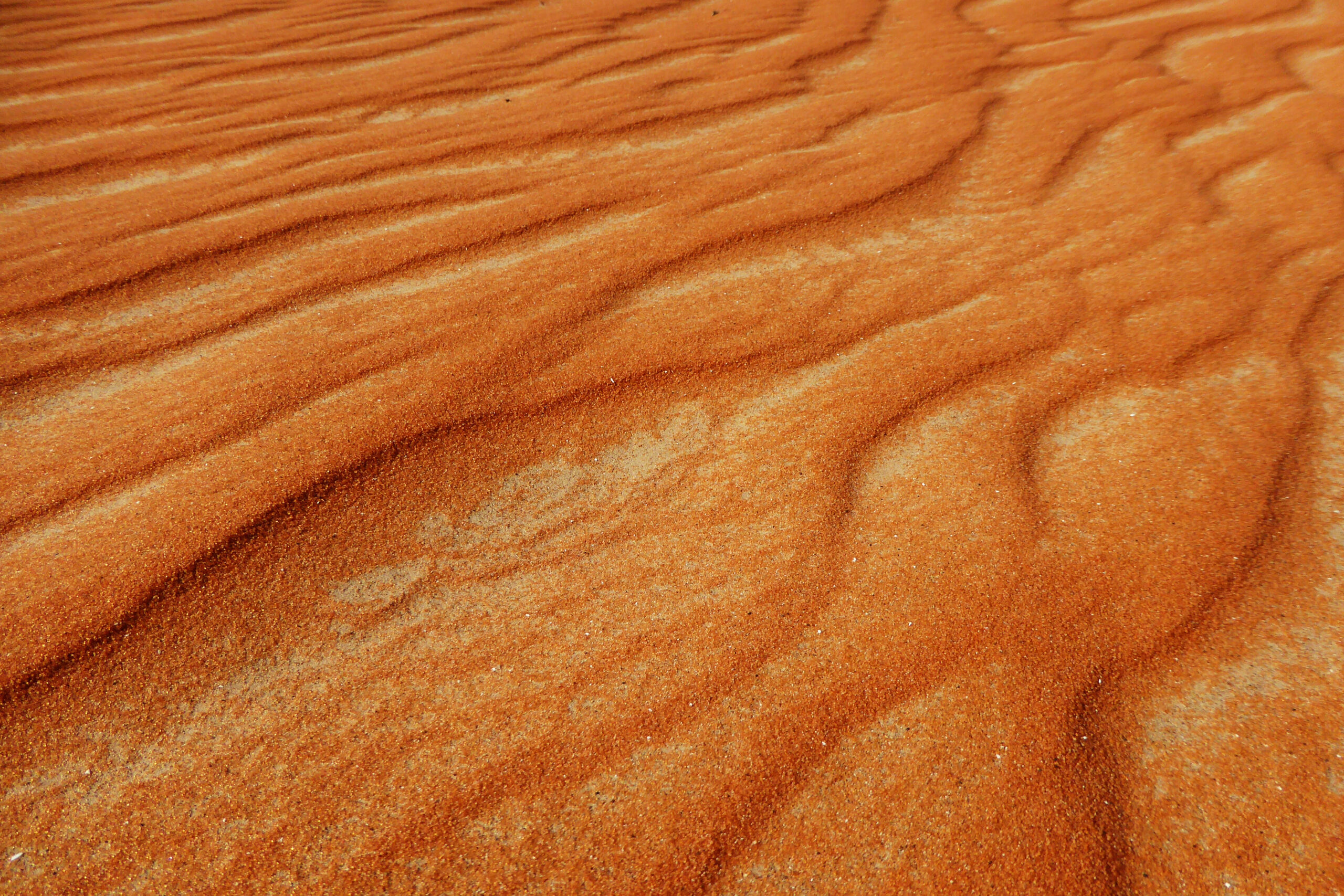 Gros plan des motifs créés par le vent sur le sable du désert de Liwa, aux Émirats Arabes Unis.