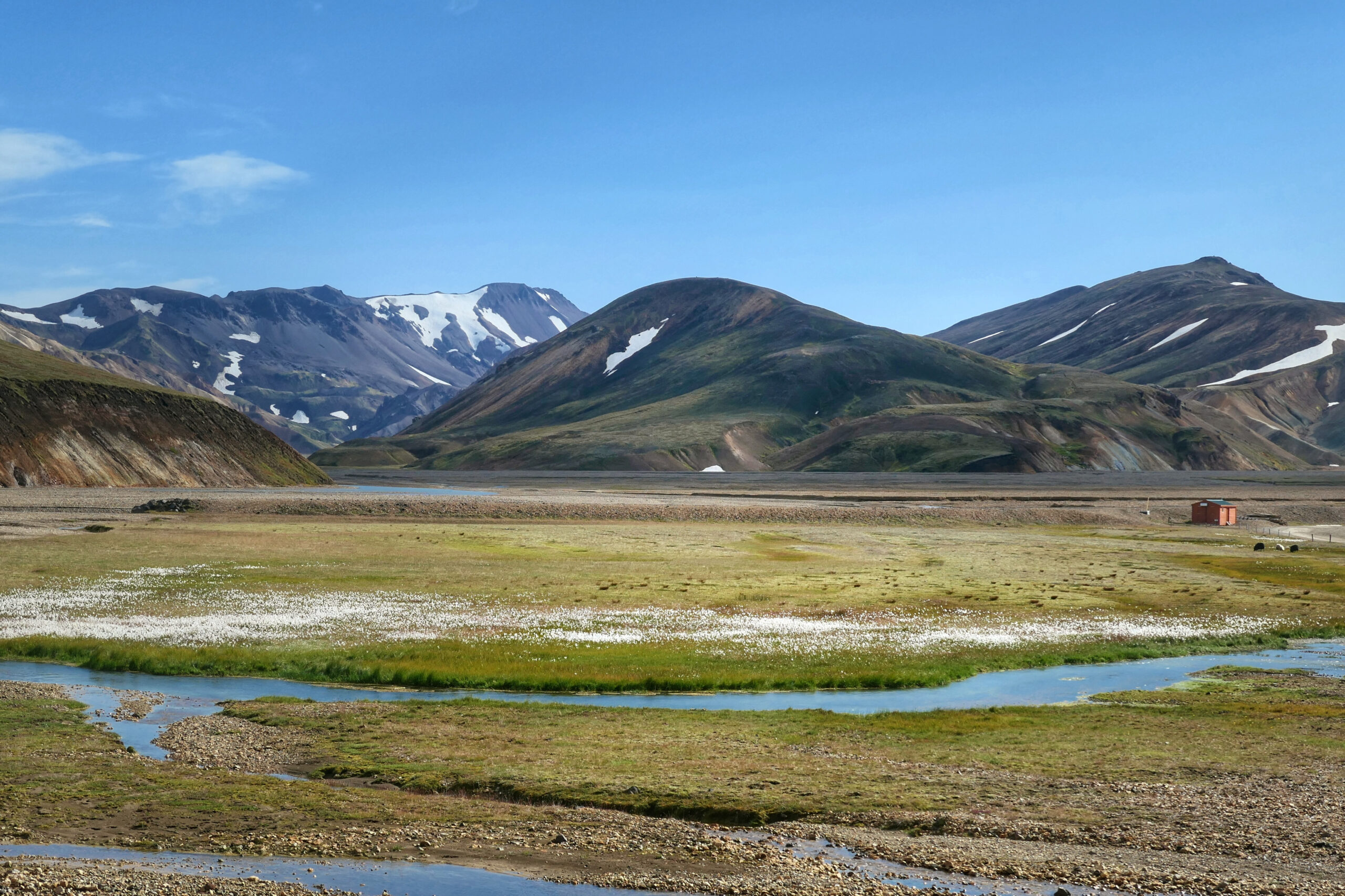 Paysage du Landmannalaugar en Islande, avec des montagnes en arrière-plan, une vallée avec une rivière et un champ de linaigrette au premier plan.