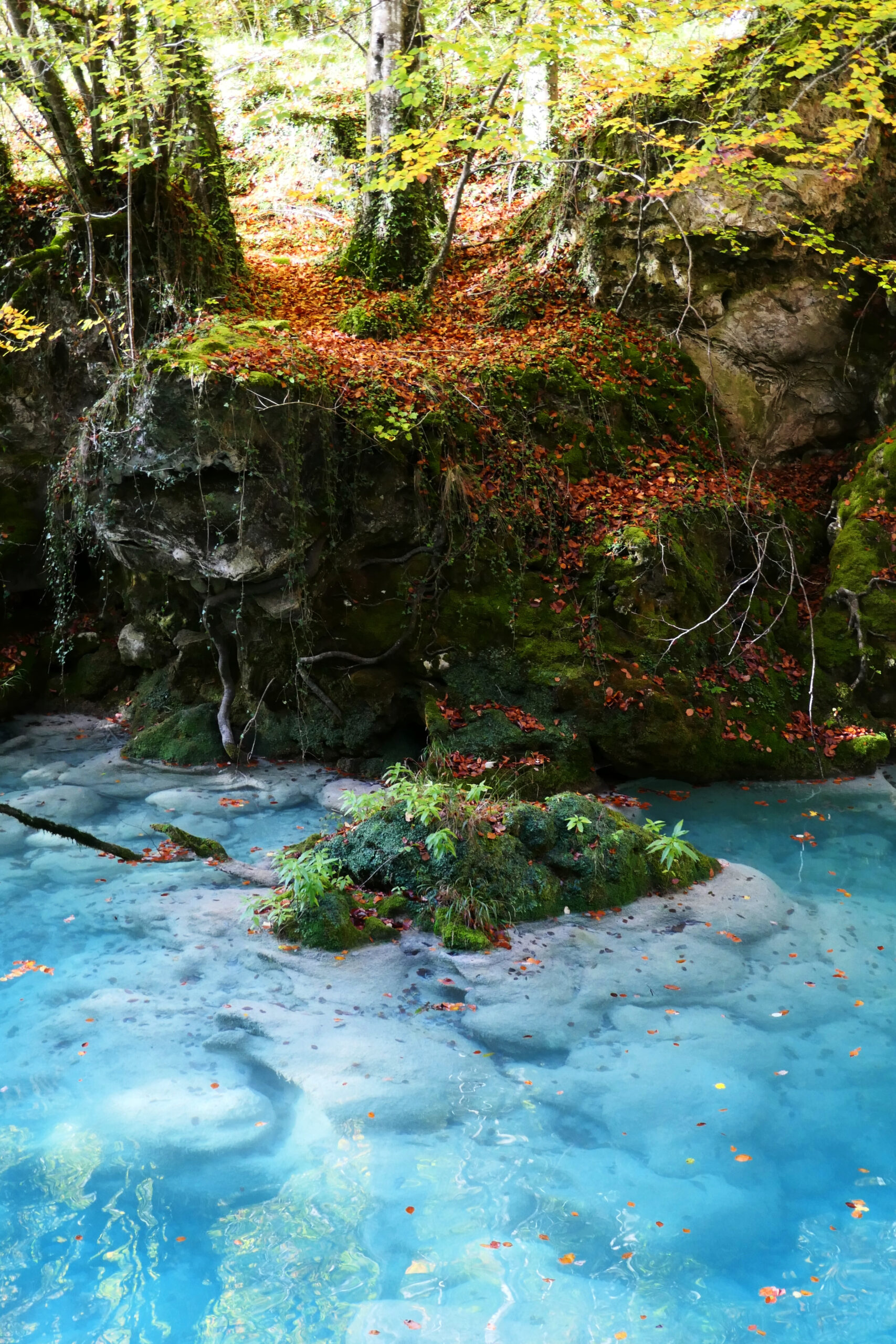 Rivière d'un bleu turquoise brillant traversant la forêt automnale d'Urederra en Espagne.