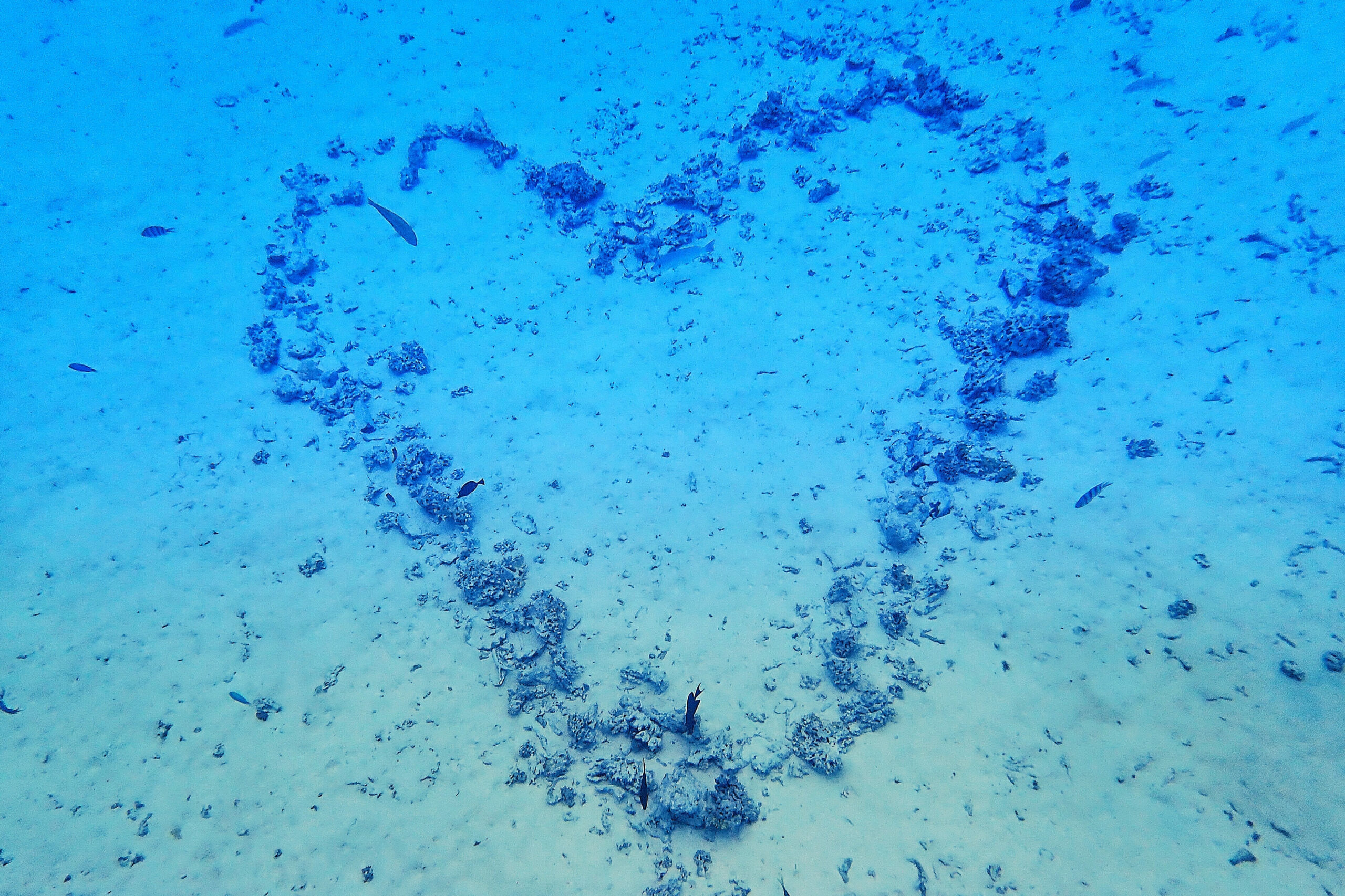 Photo d'un cœur en pierres dessiné au fond de l'océan à Bora Bora