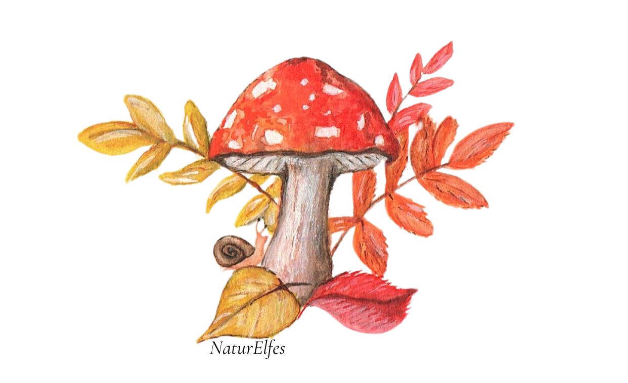 Aquarelle d'automne, champignon et feuilles peinte à la main avec des détails naturels