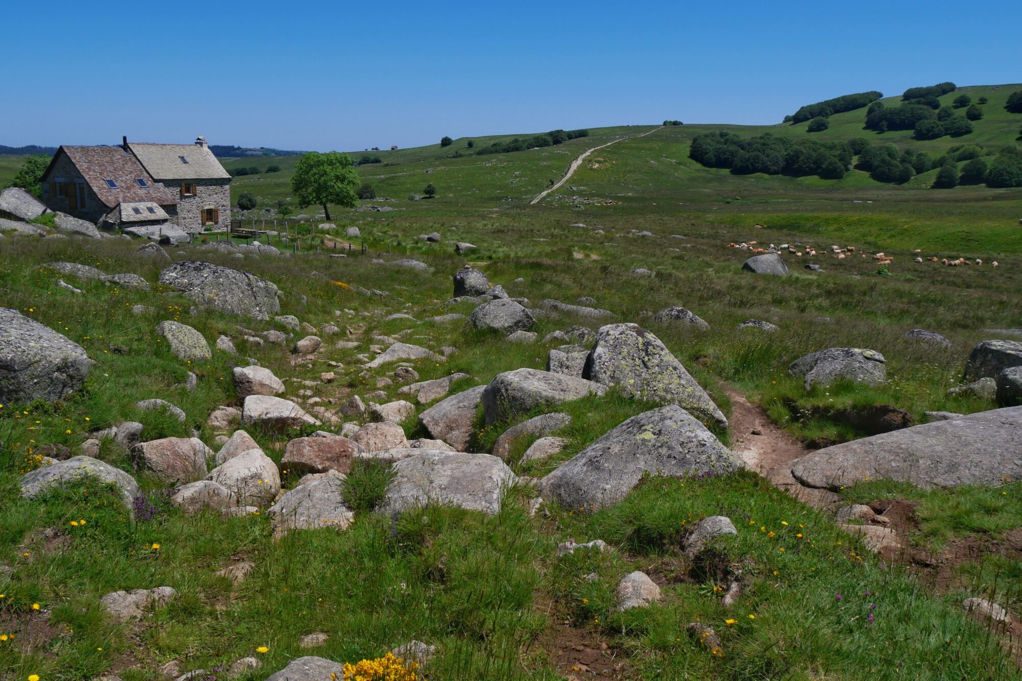 refuge-rajas-chemin-saint-guilhem