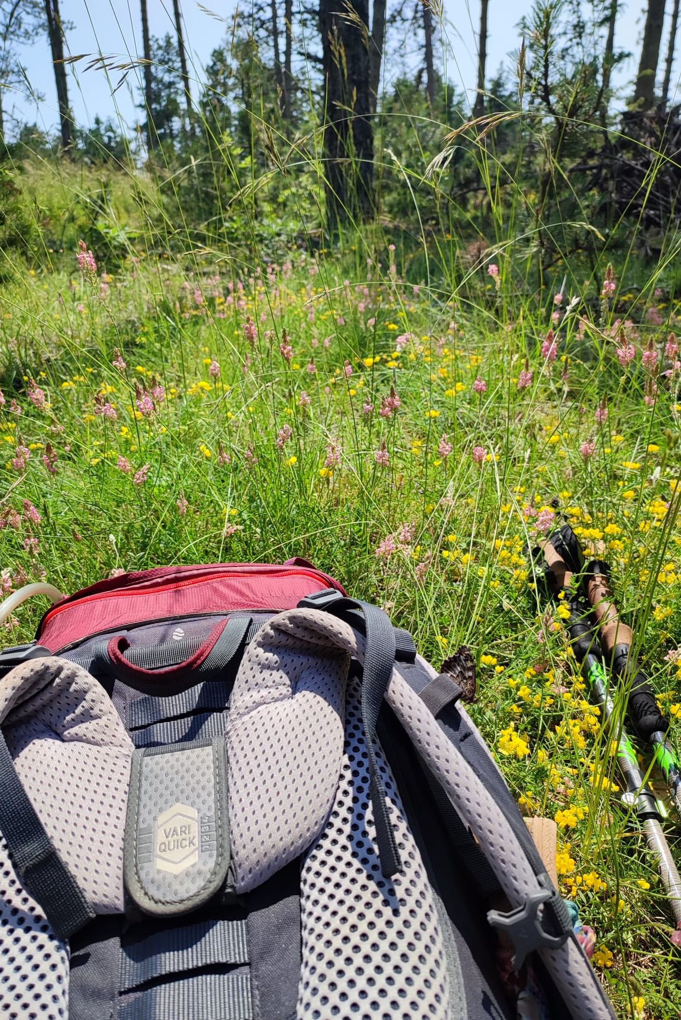 sac-randonnee-dans-les-fleurs