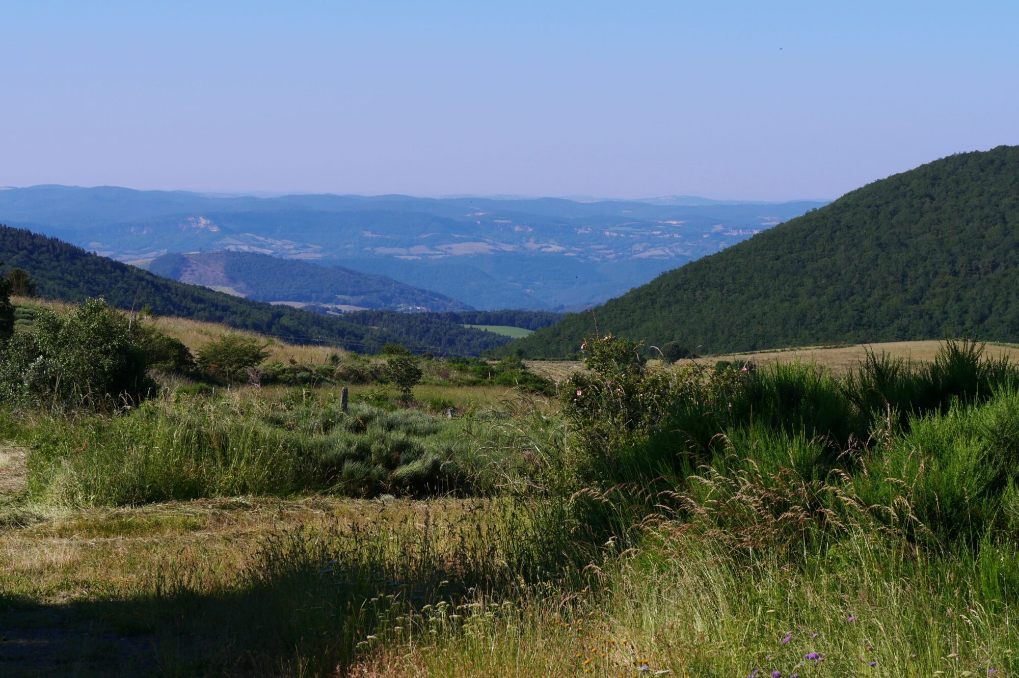 champ-et-collines-chemin-saint-guilhem