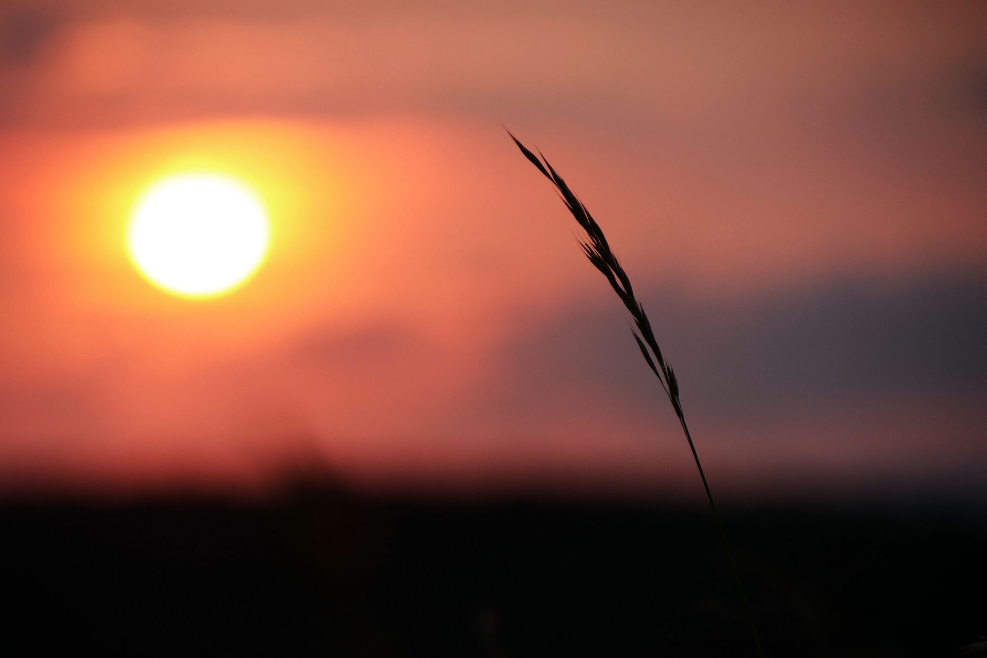 coucher-de-soleil-trek