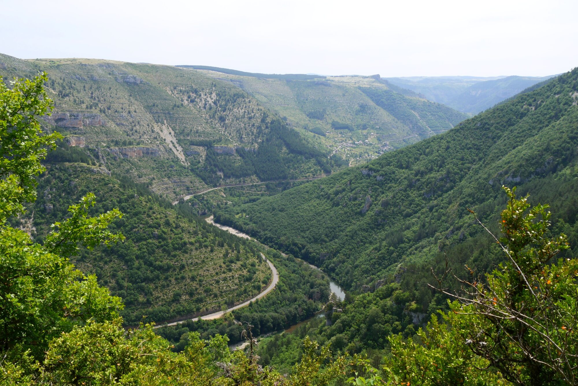 gorge-tarn-chemin-saint-guilhem