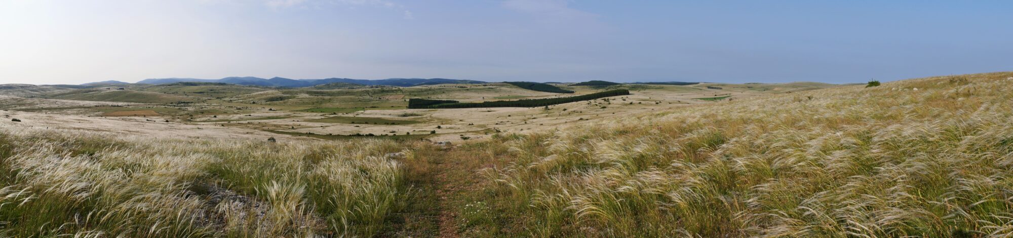 panoramique-causse-mejean