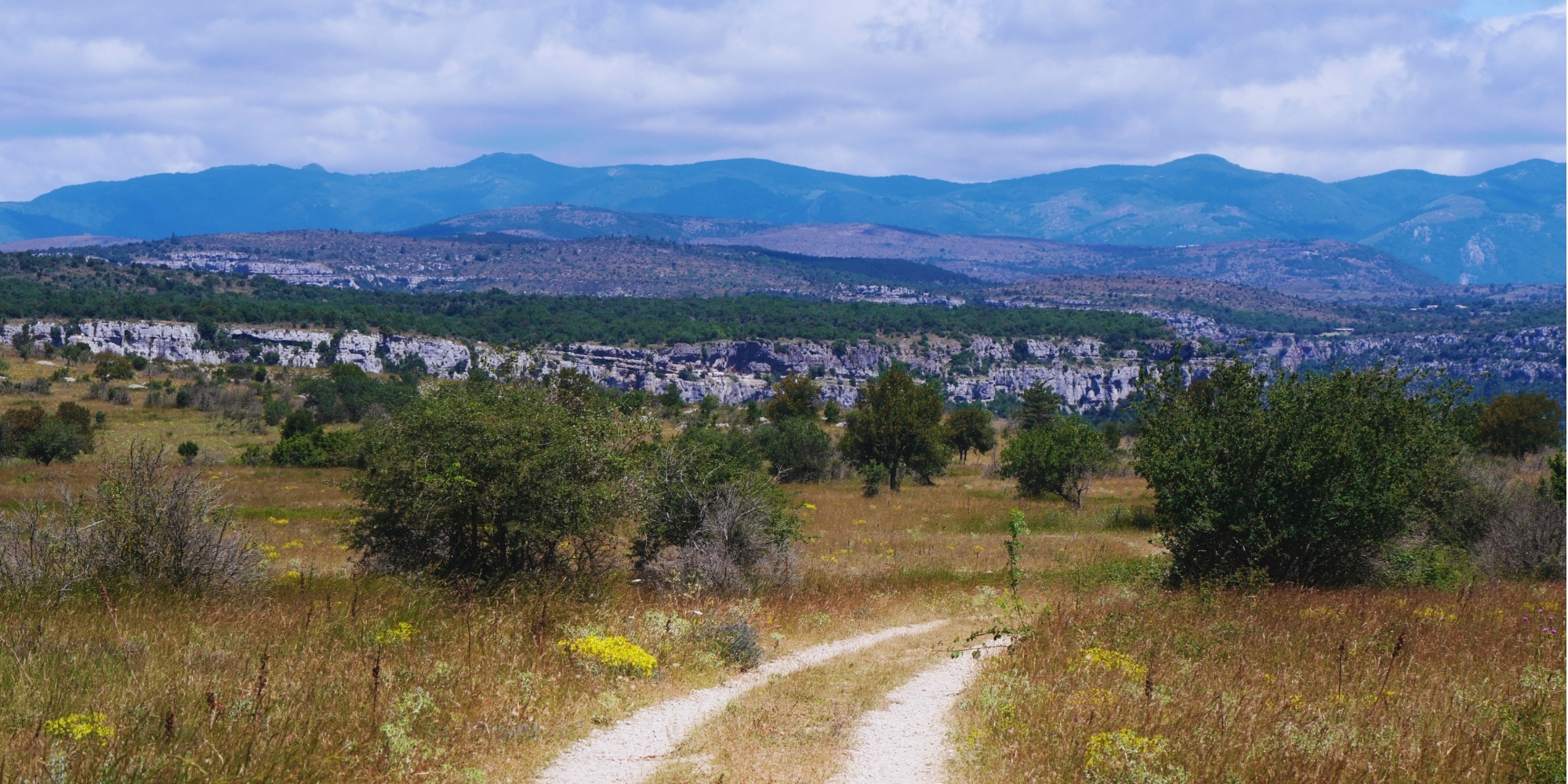 paysage-du-sud-navacelles
