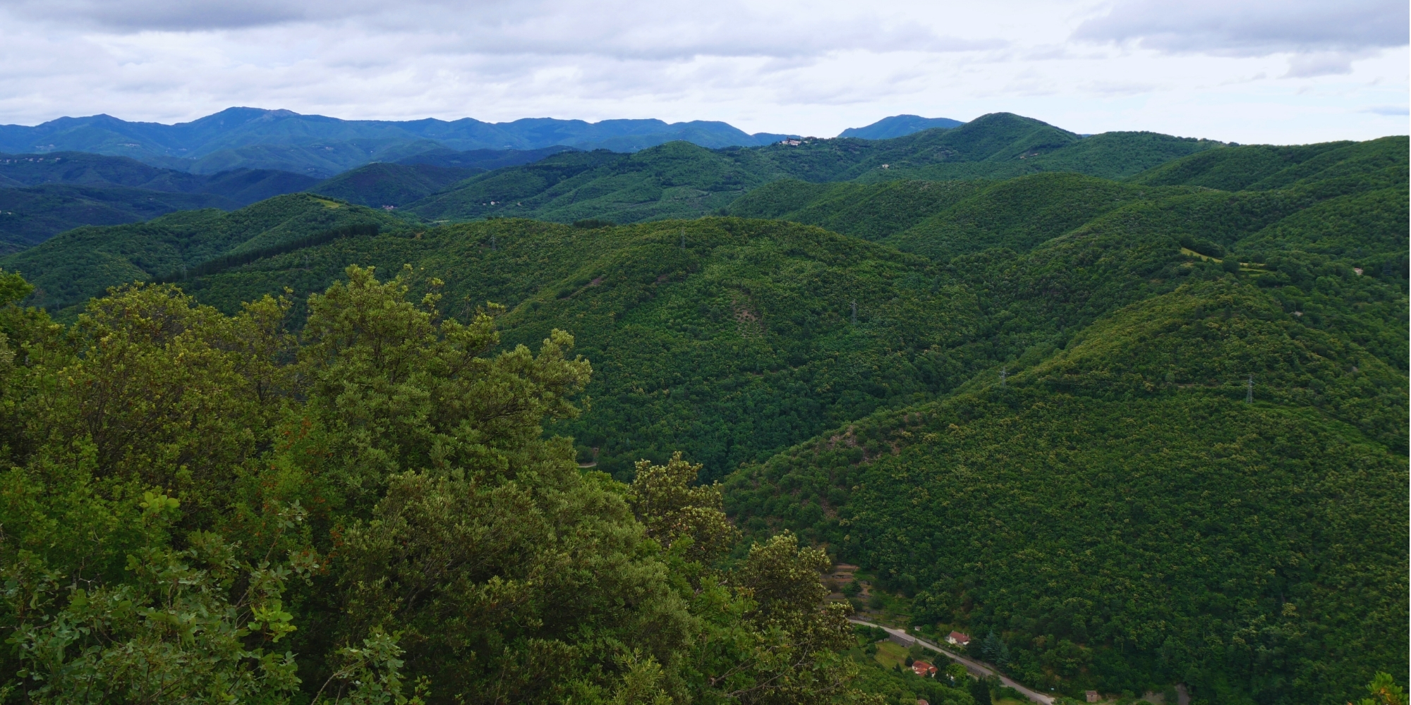 paysage-vallone-chemin-saint-guilhem