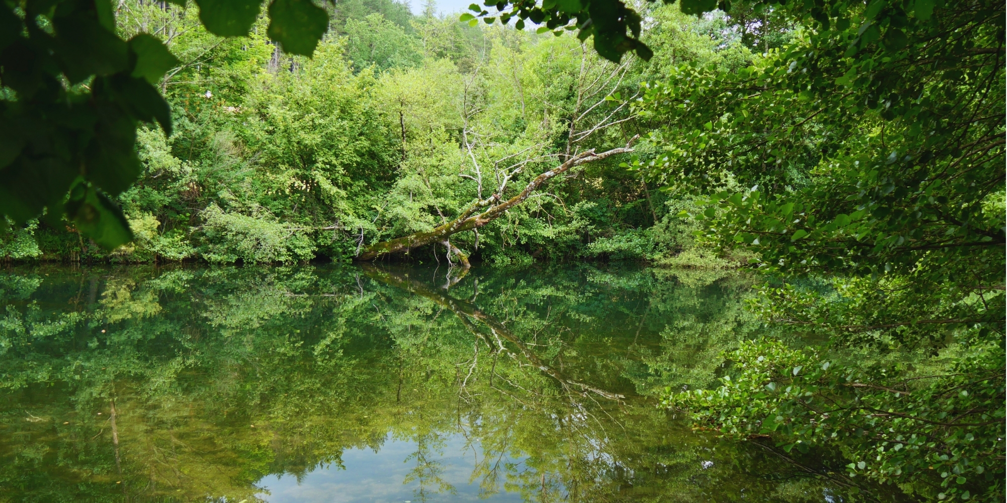 riviere-arre-reflet