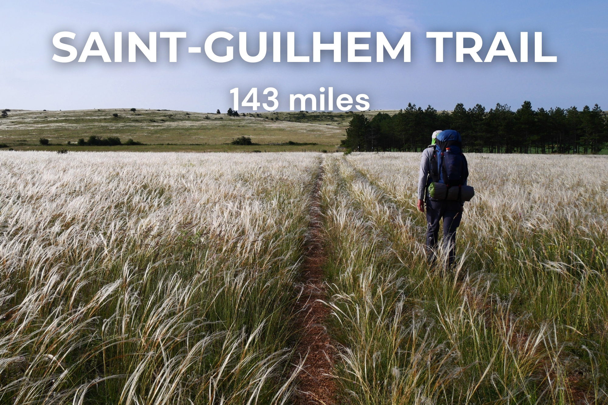 Person on a Chemin de Saint-Guilhem path amid angel hair, with the phrase “Chemin de Saint-Guilhem 230 kms”.