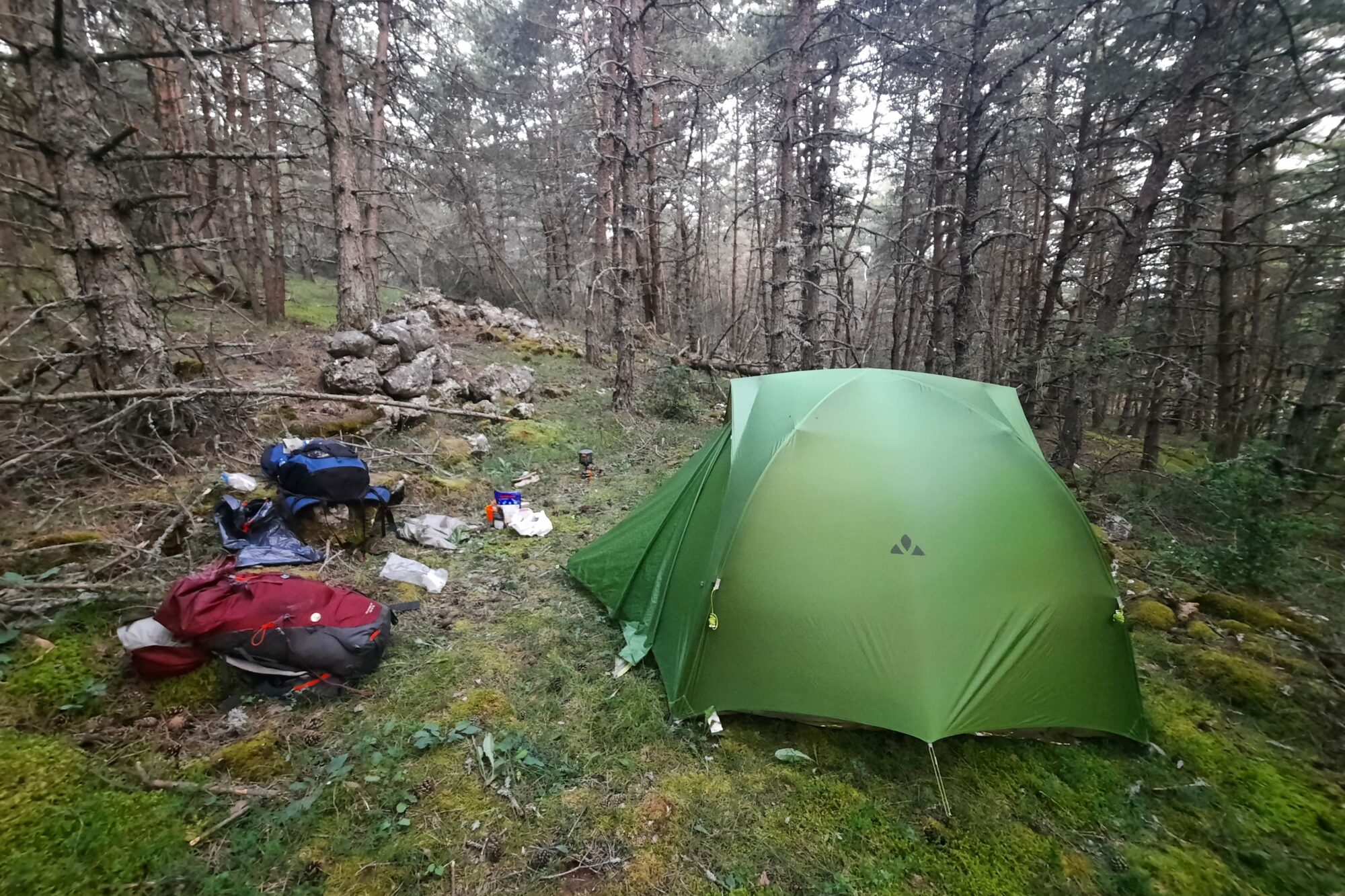 tente-en-foret-chemin-saint-guilhem