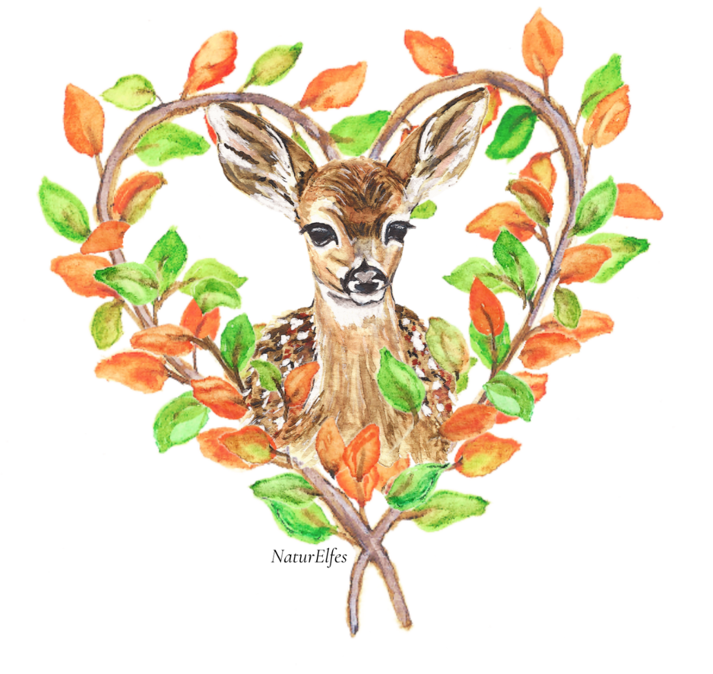 Aquarelle d’un faon dans un cœur de feuilles, signé Naturelfes