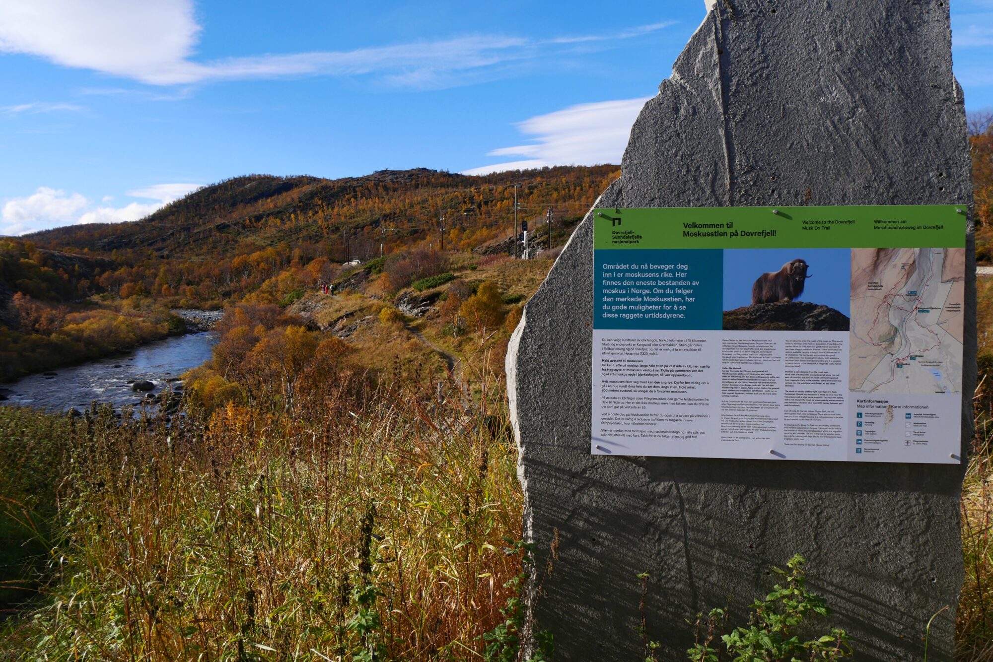 Panneau explicatif sur les bœufs musqués (Ovibos moschatus) dans le parc national du Dovrefjell-Sunndalsfjella, en Norvège.