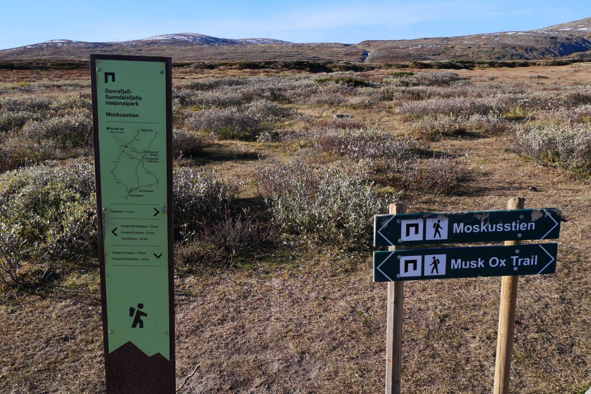Panneau indiquant le sentier de randonnée Musk Ox Trail dans le parc national du Dovrefjell-Sunndalsfjella, Norvège, utilisé pour observer les bœufs musqués.