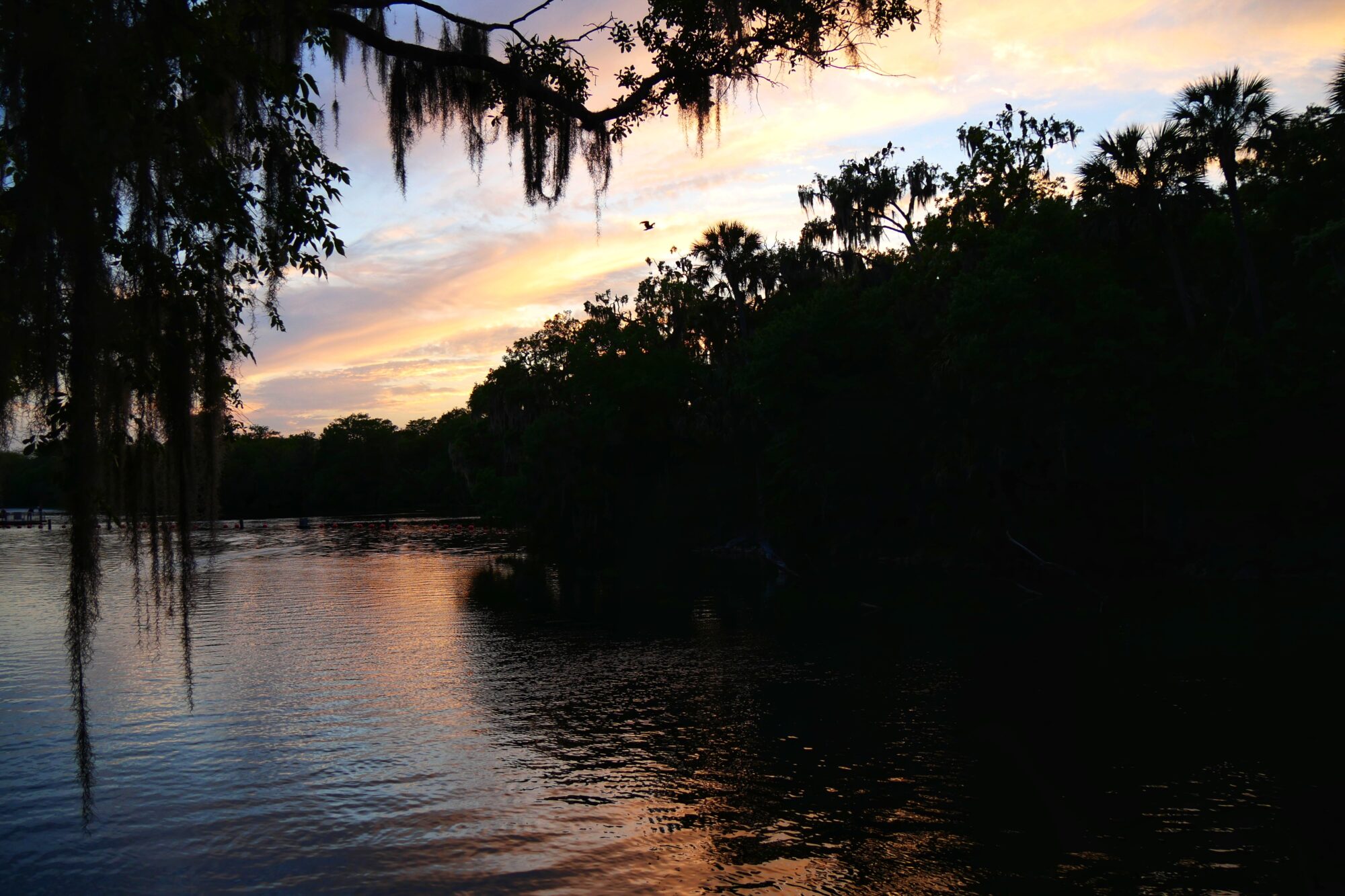 Coucher de soleil sur la rivière du Blue Spring State Park Coucher de soleil sur la rivière du Blue Spring State Park en Floride