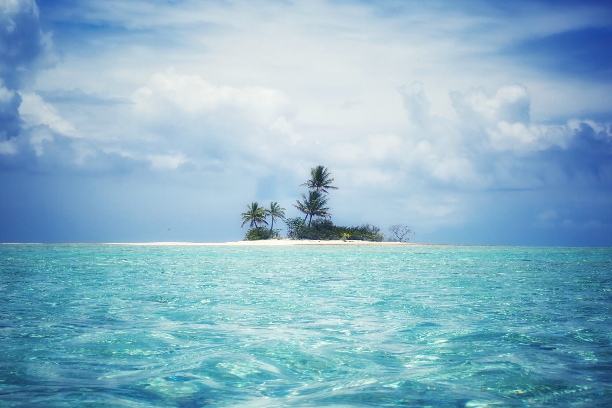 Petit îlot désert avec quelques cocotiers entouré d'un océan turquoise agité, ciel nuageux, Passe Sud de Fakarava, Polynésie française