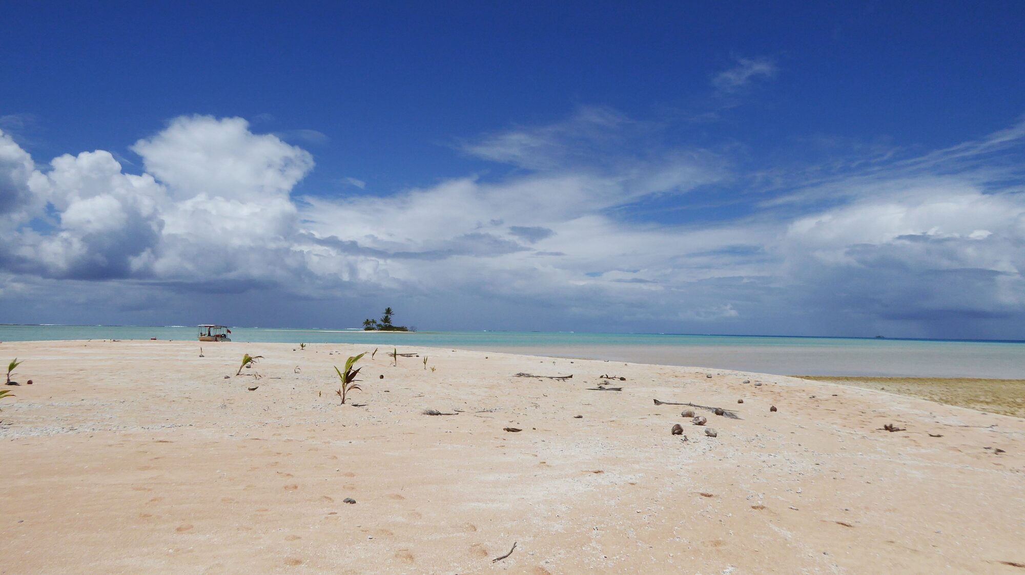 Motu désert aux sables pâles avec un bateau à l'horizon et un jeune cocotier, Passe Sud de Fakarava, Polynésie française