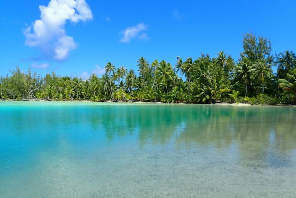 Reflets de palmiers dans les eaux turquoise du lagon vert, Passe Nord Fakarava Polynésie française