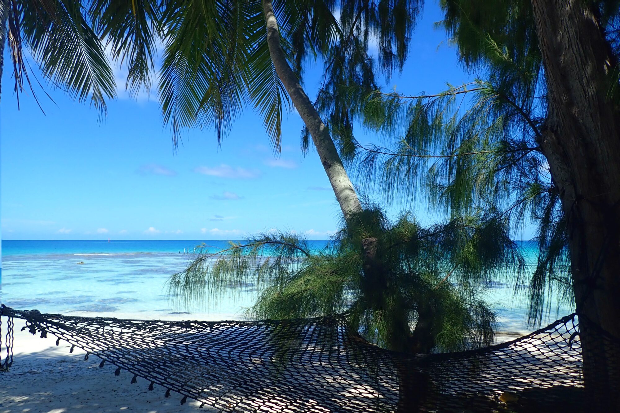 Hamac sur la plage blanche avec vue sur le lagon turquoise, Fakarava Polynésie française