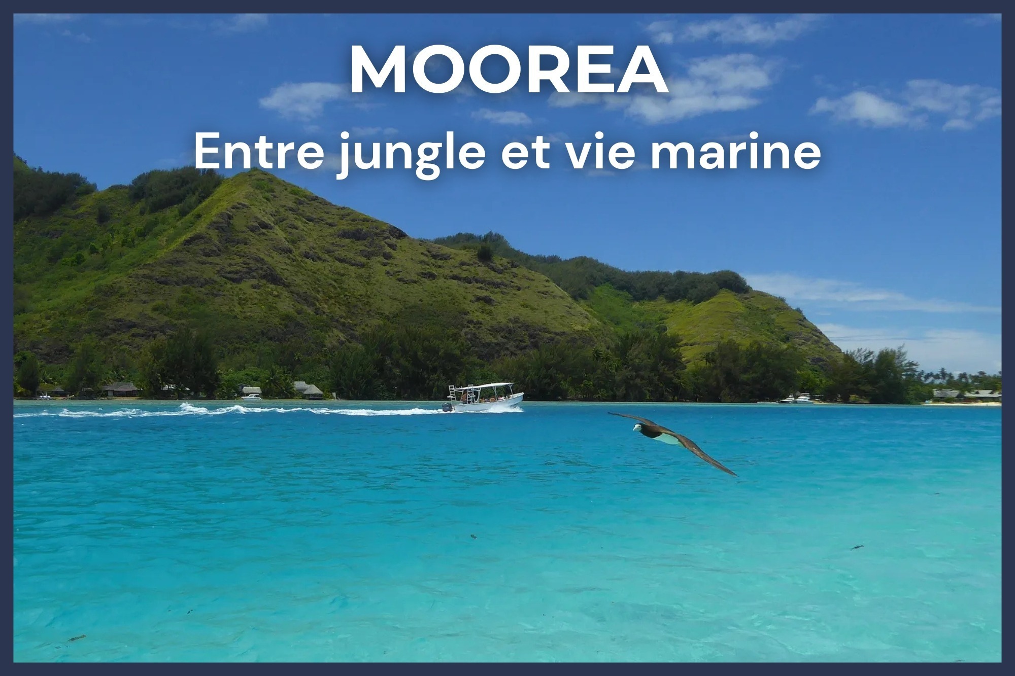 Lagon turquoise de Moorea avec un oiseau en vol, bateau et collines verdoyantes en arrière-plan, Polynésie française