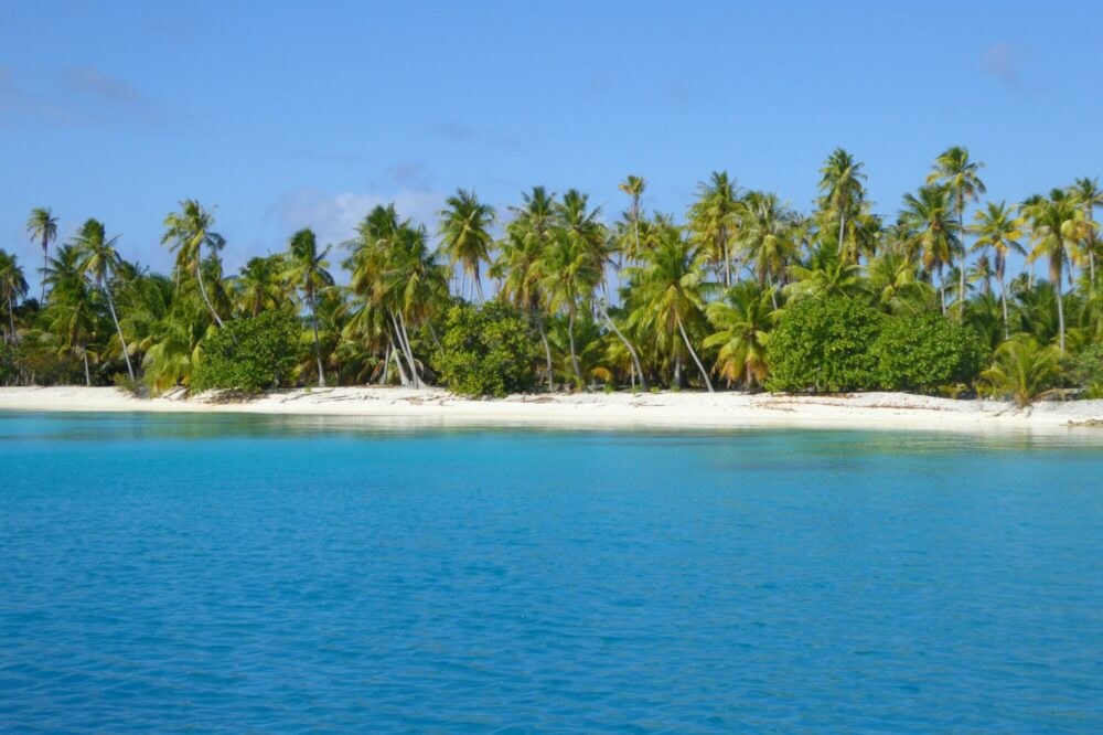Motu de sable blanc avec rangée de cocotiers et lagon bleu profond, Passe Sud de Fakarava, Polynésie française