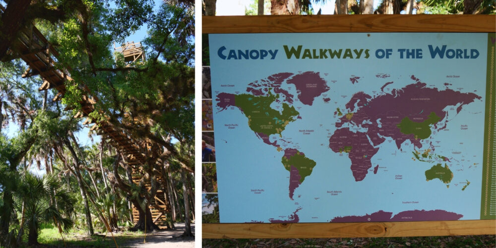 Tour d'observation et carte des Canopy Walkways à Myakka River Collage montrant la tour d'observation du Canopy Walk et la carte mondiale des passerelles de canopée au parc de Myakka River en Floride