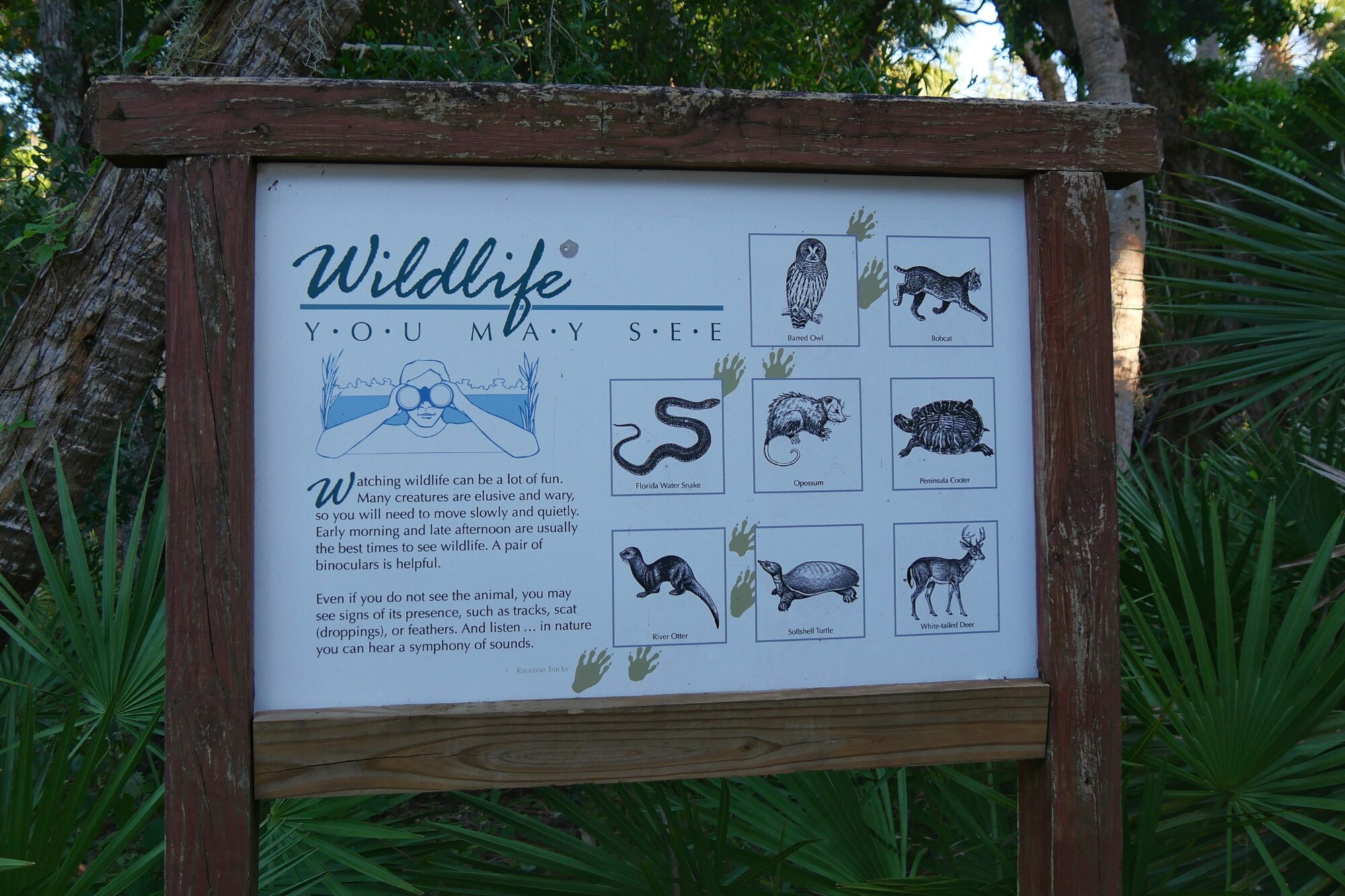 Panneau faune sauvage du parc de Myakka River Panneau "Wildlife You May See" listant les animaux sauvages observables dans le parc de Myakka River en Floride