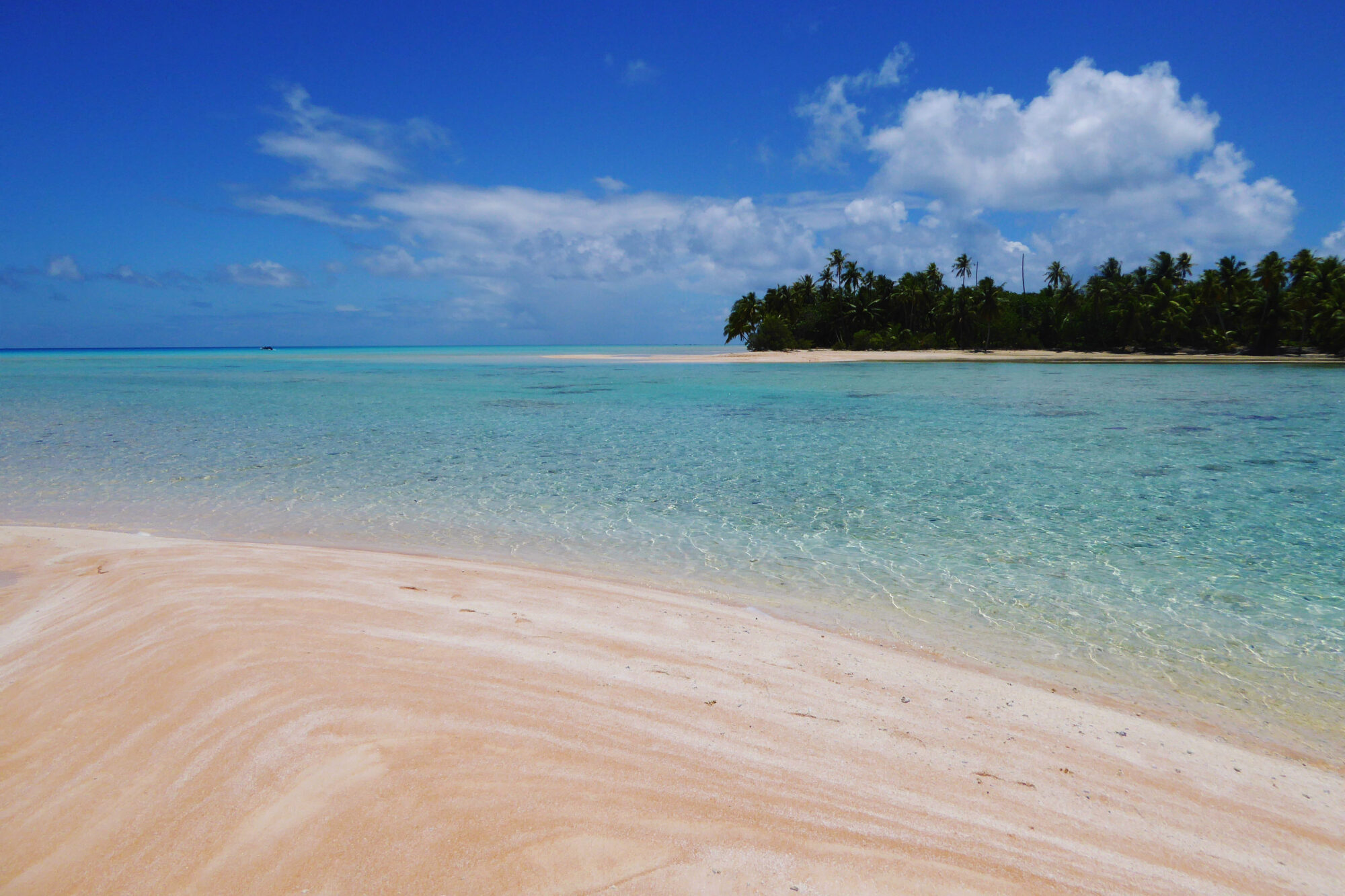 Plage de sable rose avec lagon turquoise et cocotiers en arrière-plan, Passe Sud de Fakarava, Polynésie française