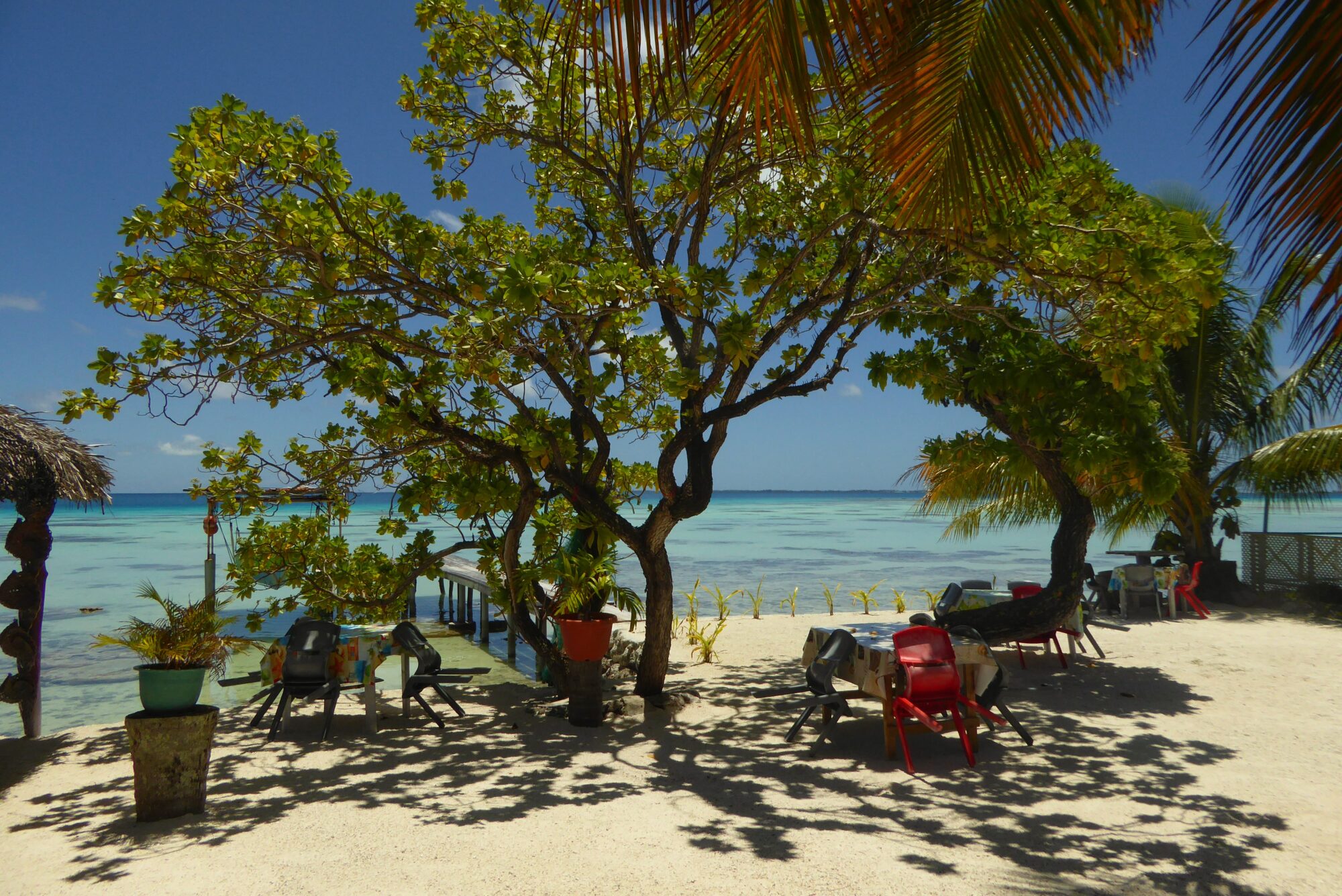 Restaurant pieds dans le sable avec vue sur le lagon turquoise, Fakarava Polynésie française