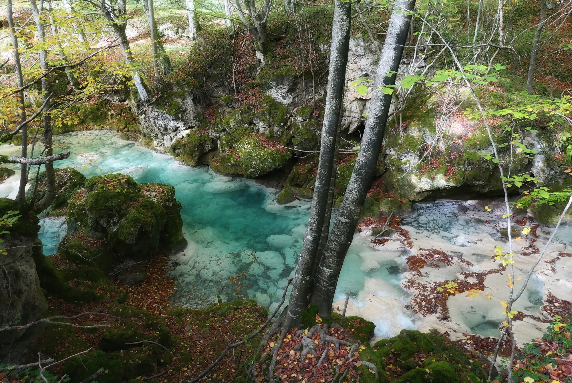 Rivière turquoise traversant une gorge rocheuse moussue à Urederra, Navarre