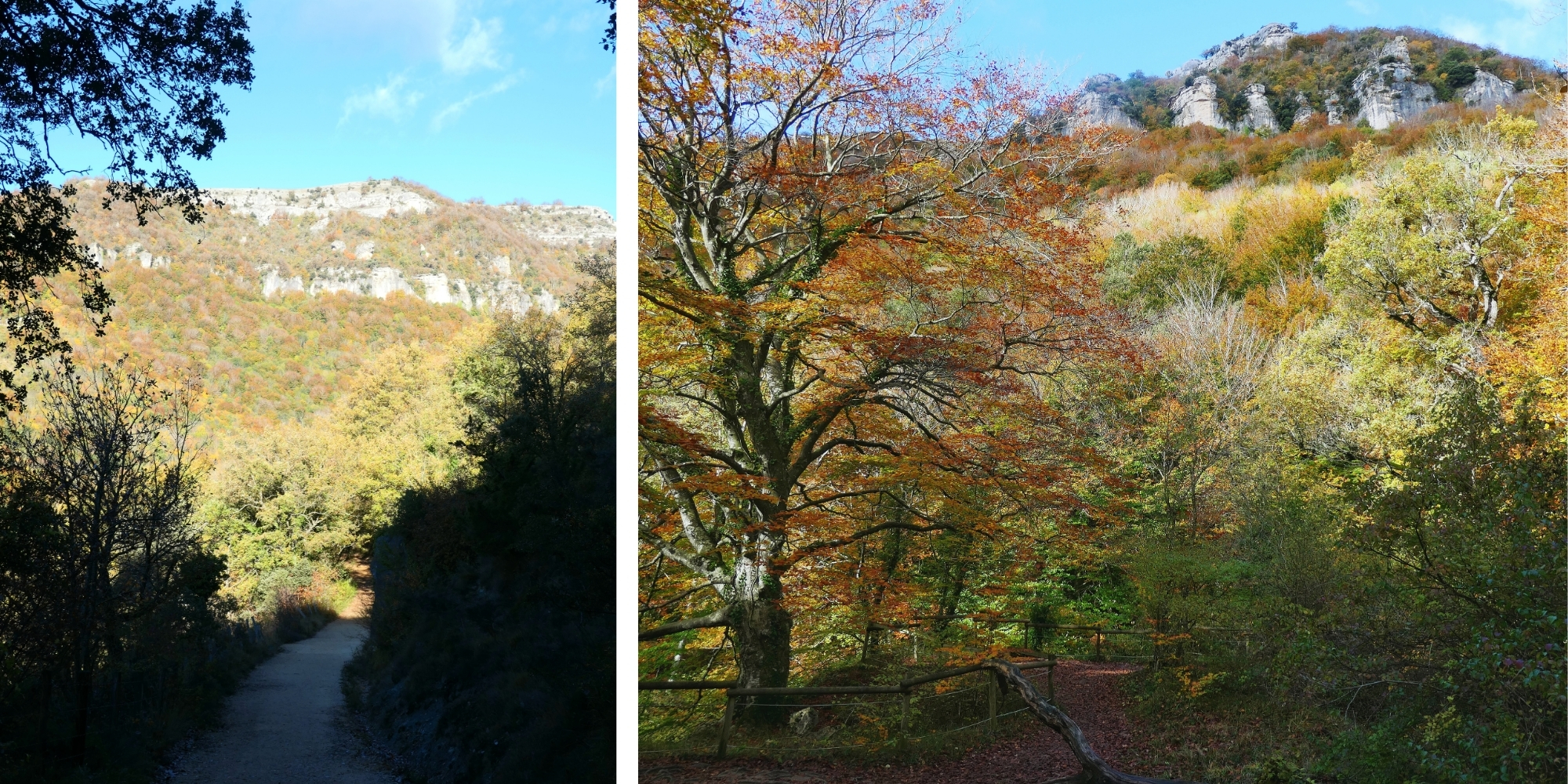Sentier de randonnée et falaises d'Urederra Chemin de randonnée et falaises calcaires en automne à Urederra