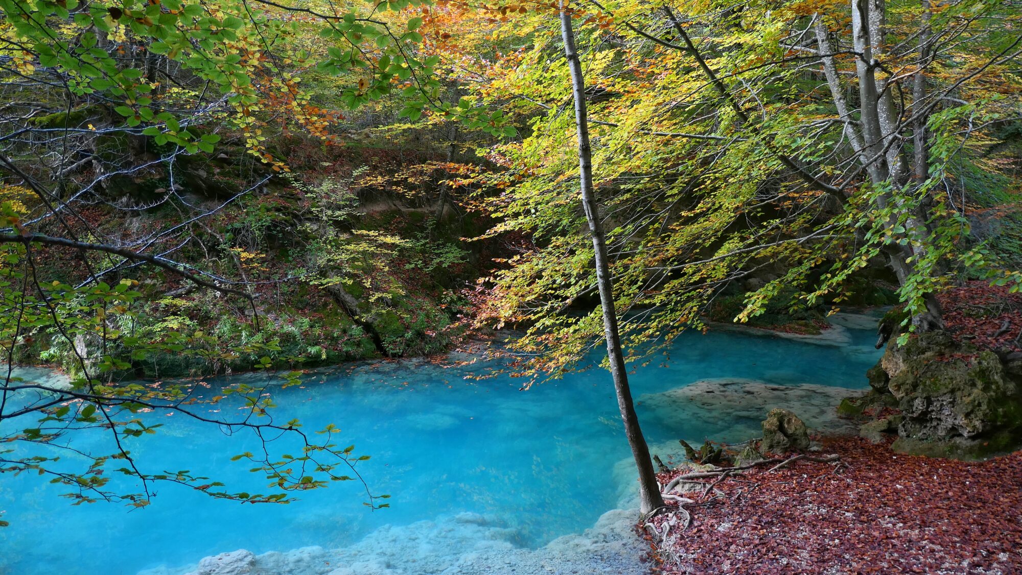 Eau turquoise éclatante du río Urederra Bassin d'eau turquoise vif entouré de feuillages automnaux à Urederra