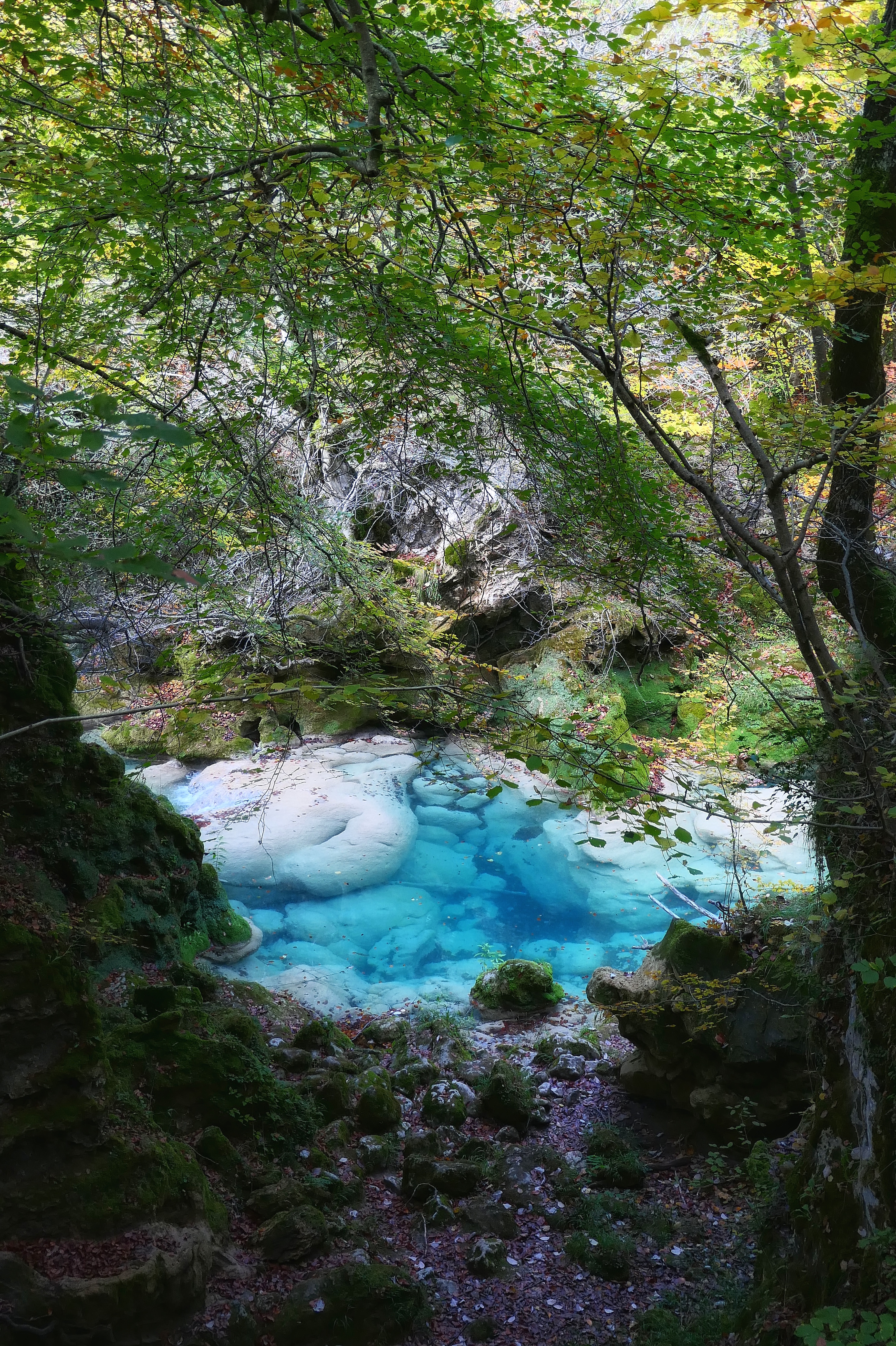 Eau bleu turquoise entourée de roche blanche et forêt automnale