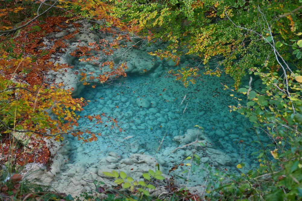 Surface d'eau turquoise parsemée de feuilles d'automne