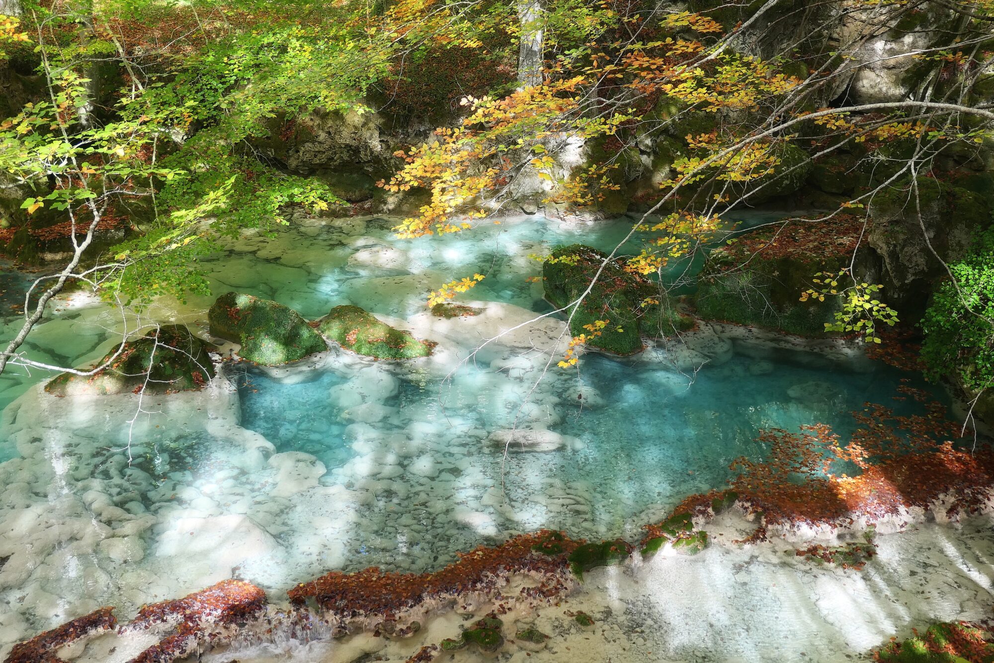 Eau turquoise transparente coulant sur des formations rocheuses blanches à Urederra