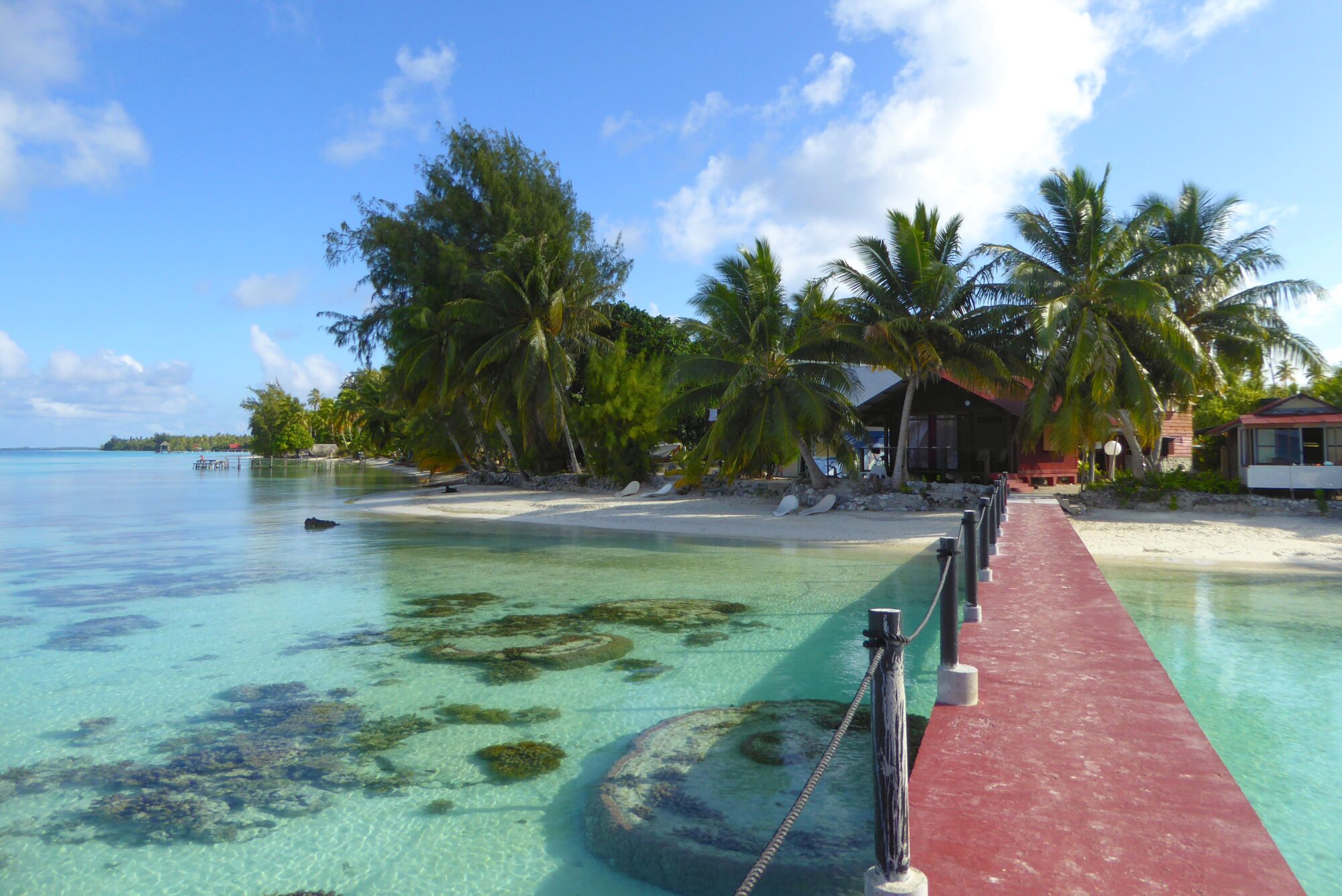Vue sur la plage et les bungalows depuis le ponton de la pension Vaiama, Fakarava Polynésie française