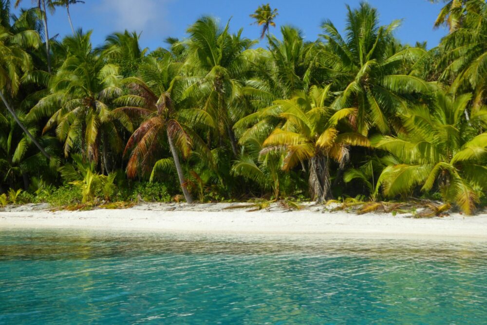 Plage de sable blanc bordée de cocotiers serrés vue depuis le bateau, eaux turquoise cristallines, Passe Sud de Fakarava, Polynésie française