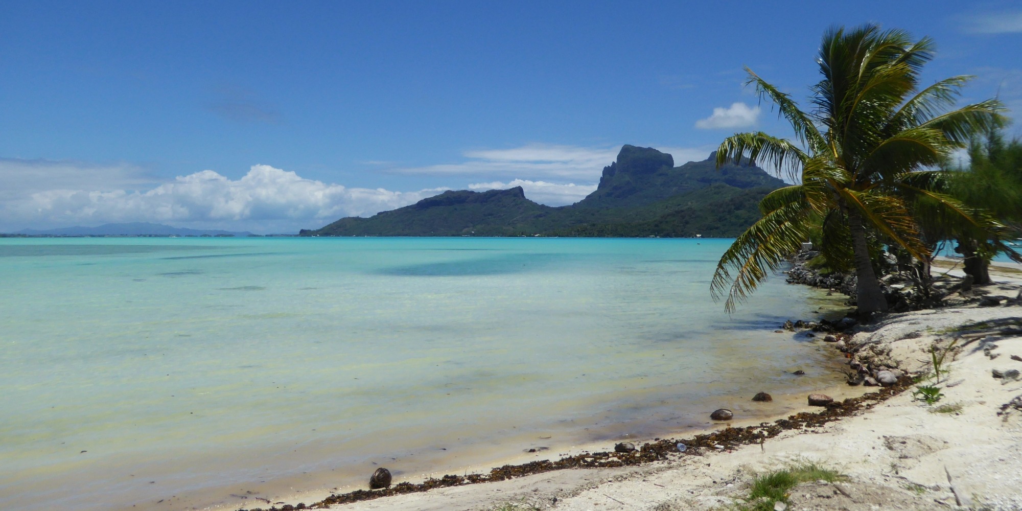 Plage de sable blanc et mont Otemanu — lagon turquoise de Bora Bora, Polynésie françaiseonut_Palm_Turquoise_Lagoon_Mount_Otemanu_Bora_Bora Plage de sable blanc avec cocotier penché face au lagon turquoise et au mont Otemanu en arrière-plan, tour de l'île de Bora Bora, Polynésie française