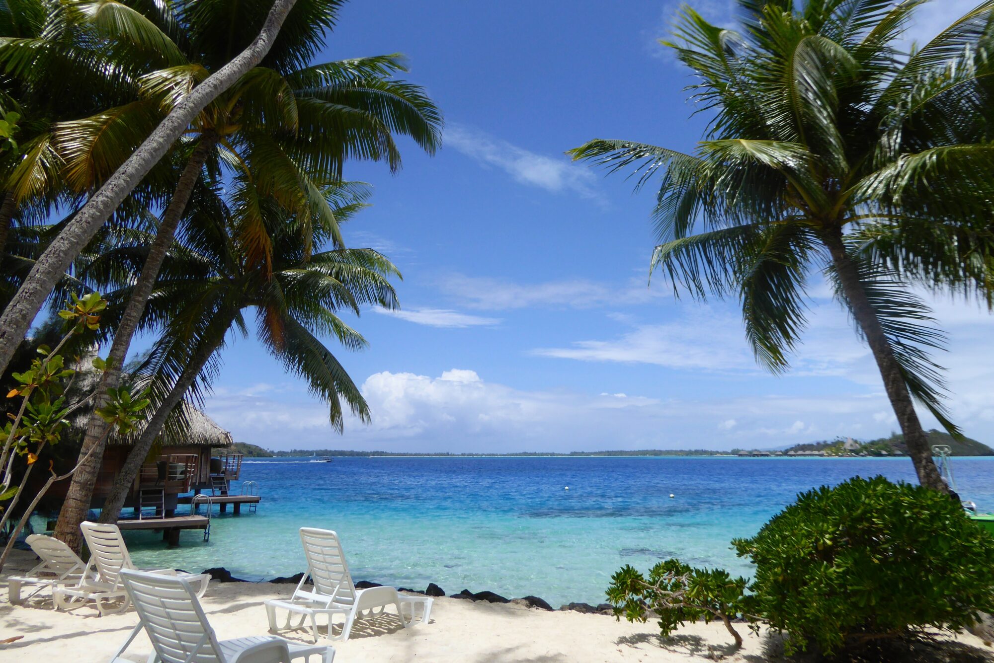 Plage de sable blanc et lagon bleu turquoise de Bora Bora — Polynésie française Plage de sable blanc avec transats et cocotiers face au lagon bleu turquoise de Bora Bora avec bungalow sur pilotis, Polynésie française