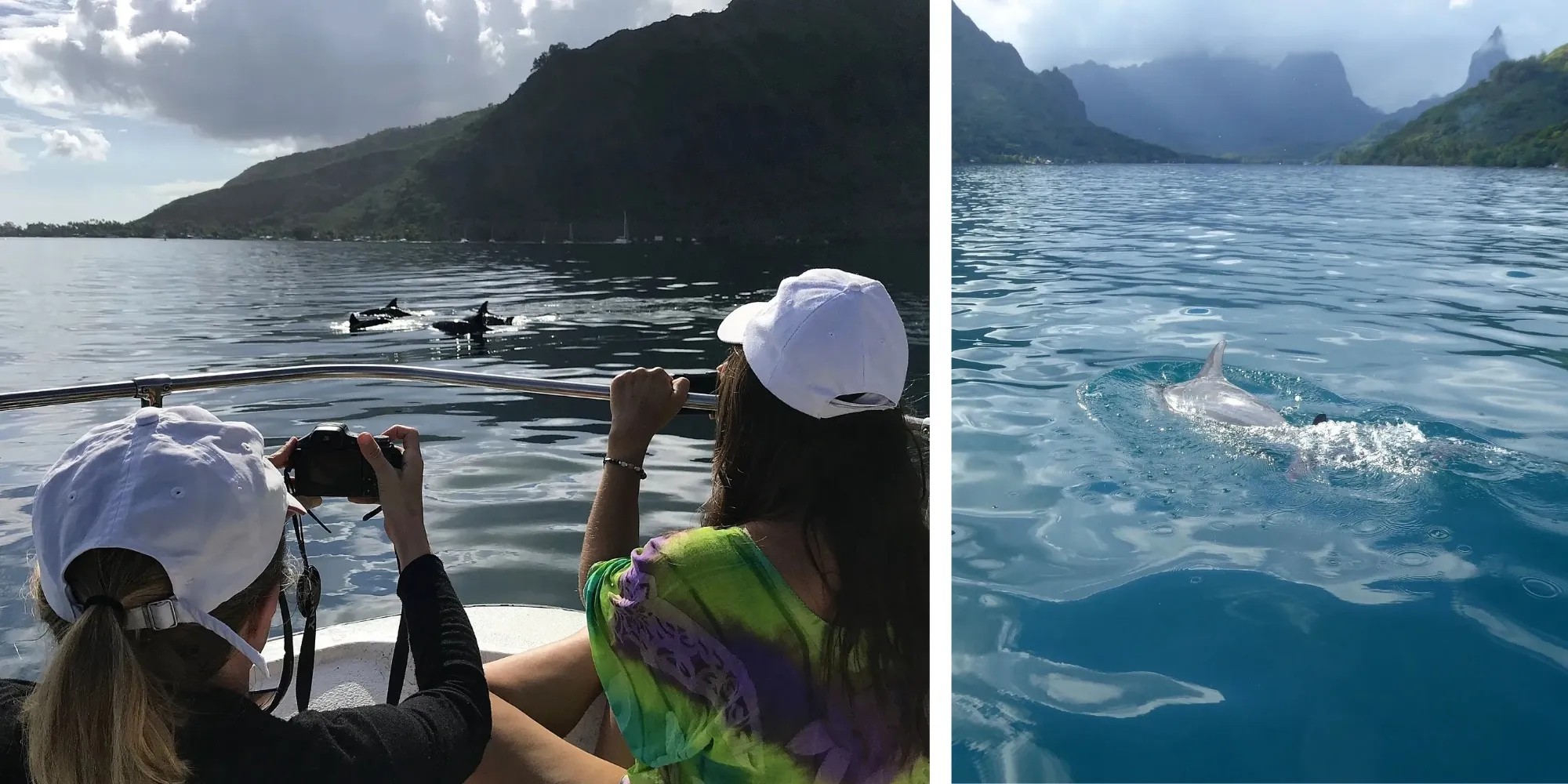 Observation des dauphins avec Mermaid Private Boat Tour — Moorea, Polynésie françaiseTour_Dolphins_Moorea_French_Polynesia Collage de l'observation des dauphins depuis le bateau Mermaid Private Boat Tour à Moorea : voyageuses photographiant les dauphins et dauphin nageant à la surface face aux montagnes, Polynésie française