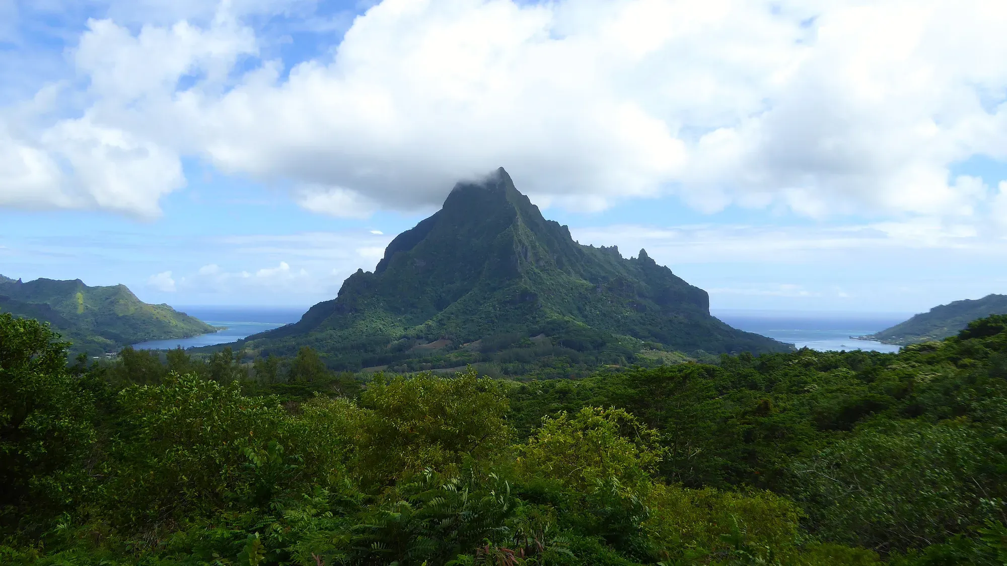 Mont Rotui depuis le belvédère d'Opunohu — Moorea, Polynésie française Vue spectaculaire sur le mont Rotui dominant la jungle de Moorea et les baies de Cook et Opunohu depuis le belvédère d'Opunohu, Polynésie française