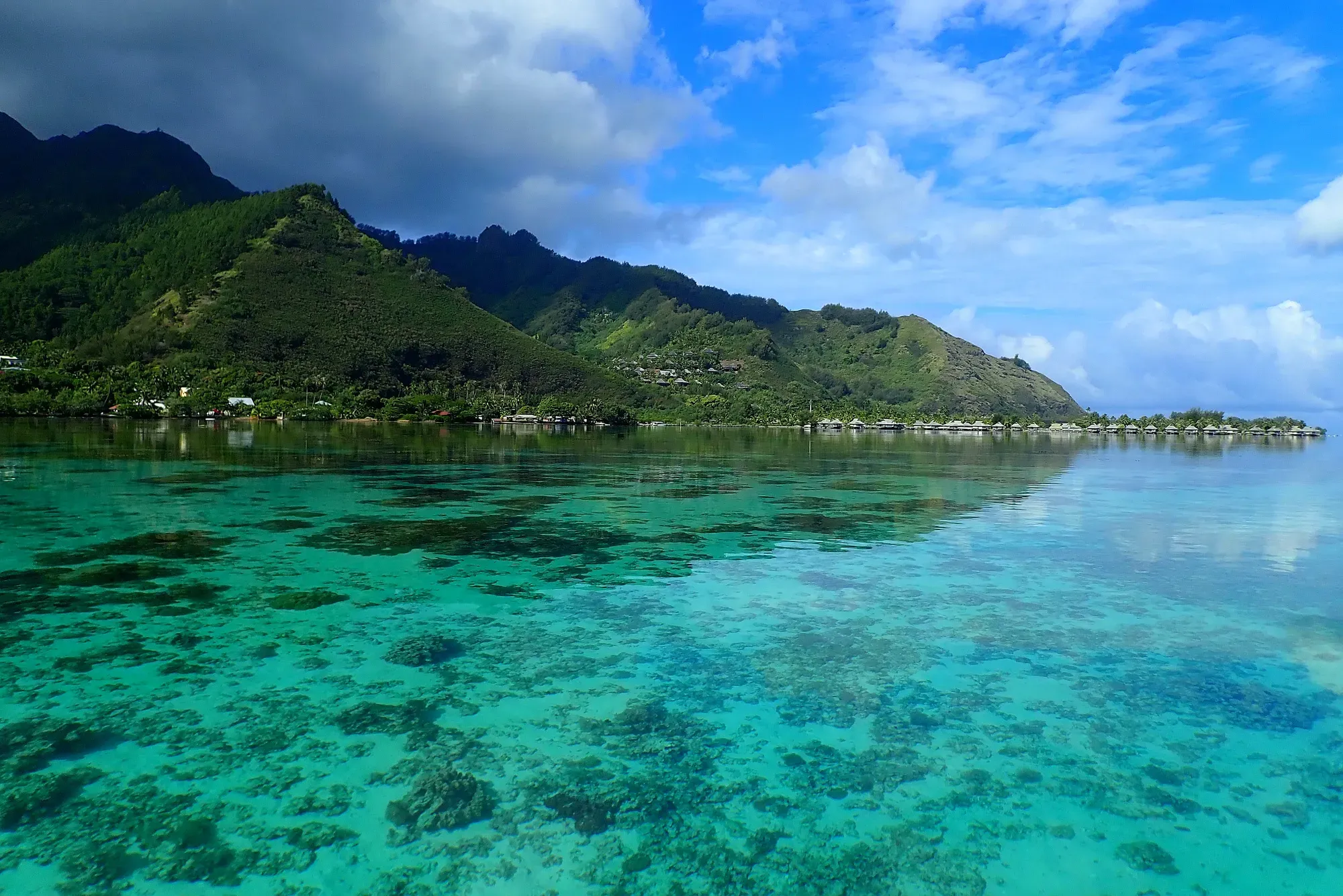 Lagon turquoise, récifs coralliens et bungalows de Moorea — Polynésie française Lagon turquoise de Moorea avec récifs coralliens visibles depuis la surface, bungalows sur pilotis et montagnes verdoyantes en arrière-plan, Polynésie française